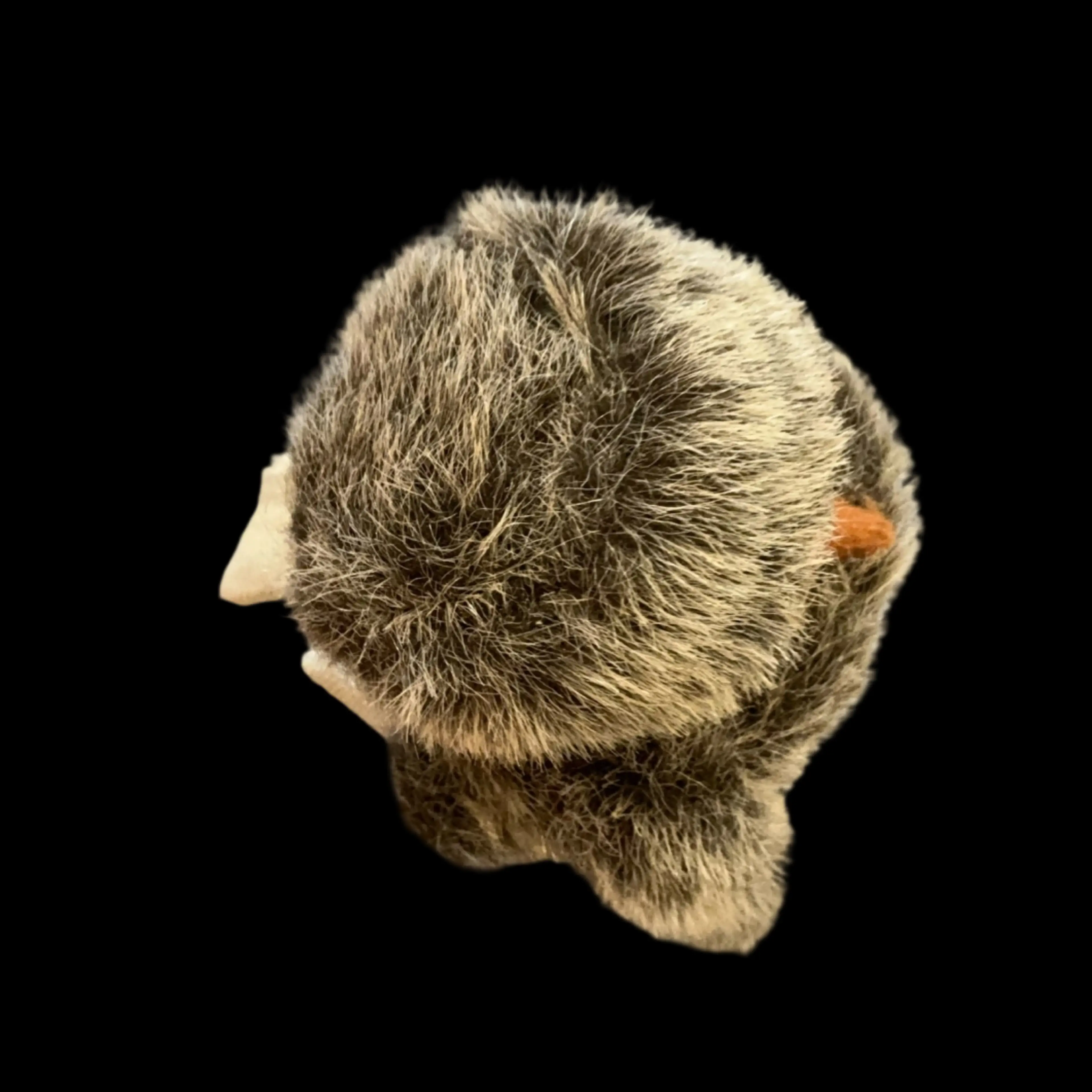 Image 5 of 6