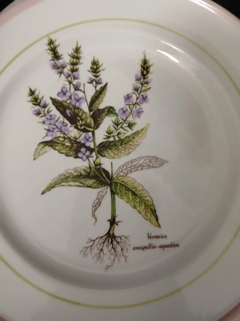 #01 Primula Made in Italy Set of 2 plates