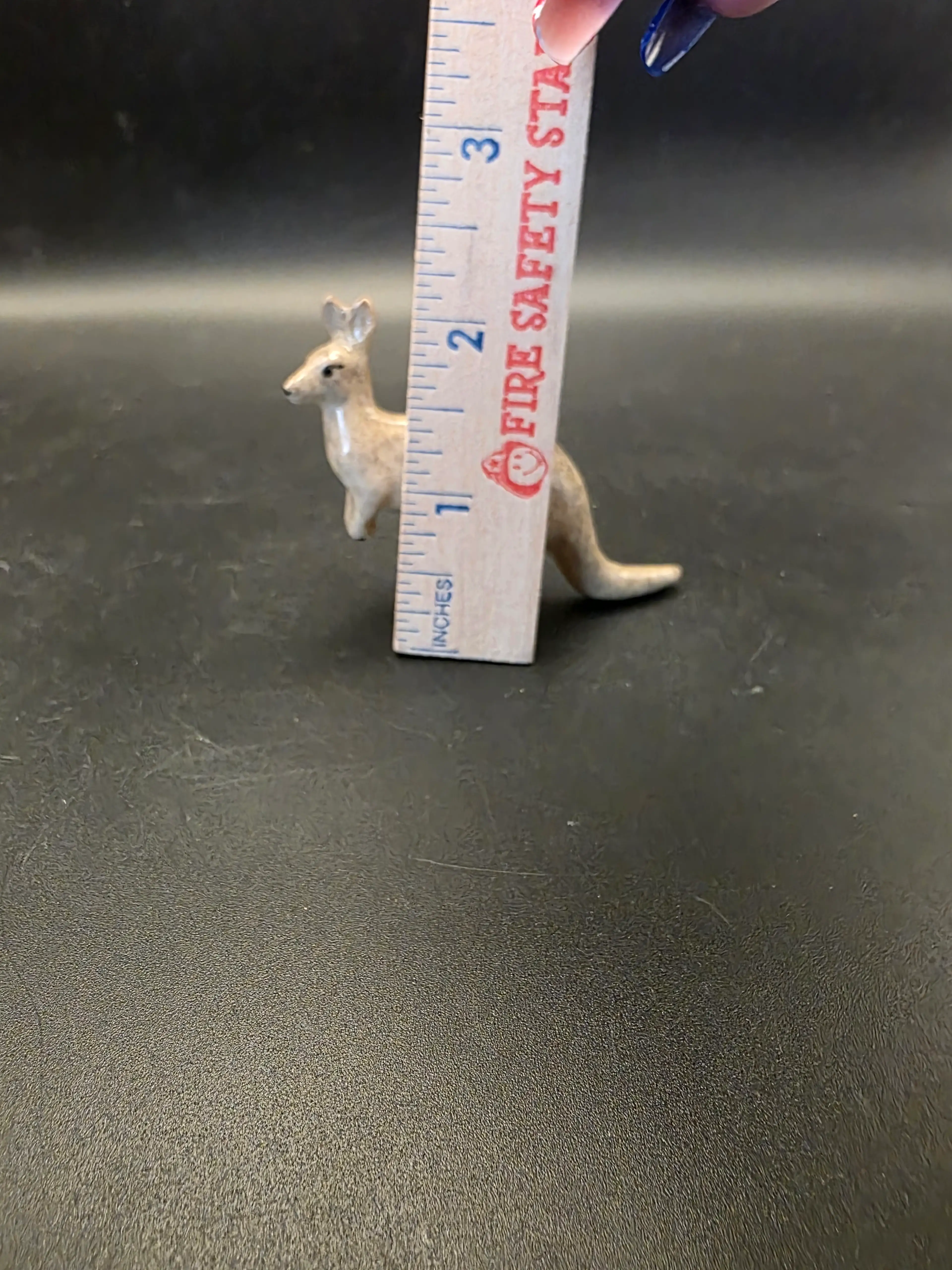 Image 5 of 6