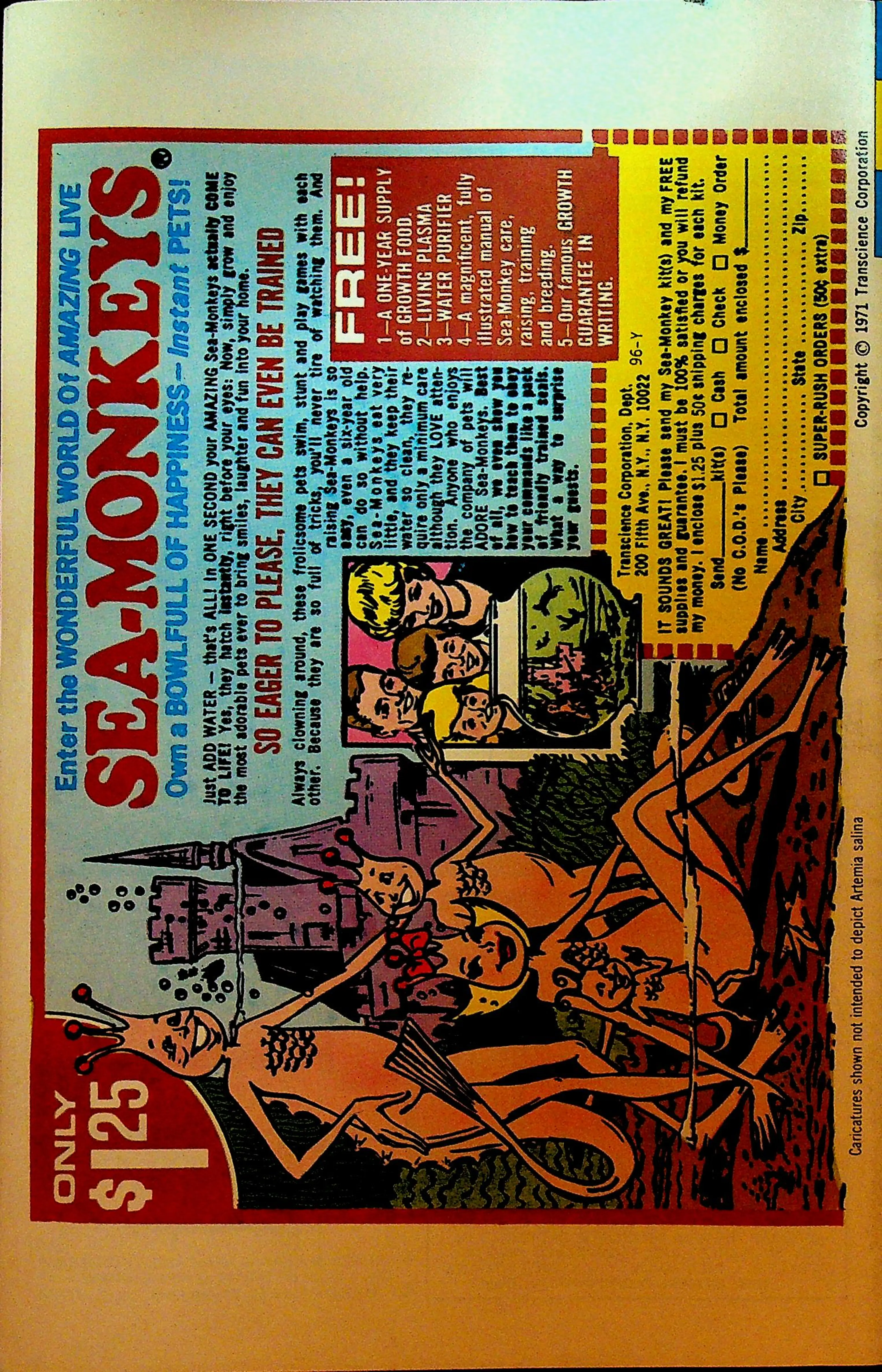 Image 2 of 2