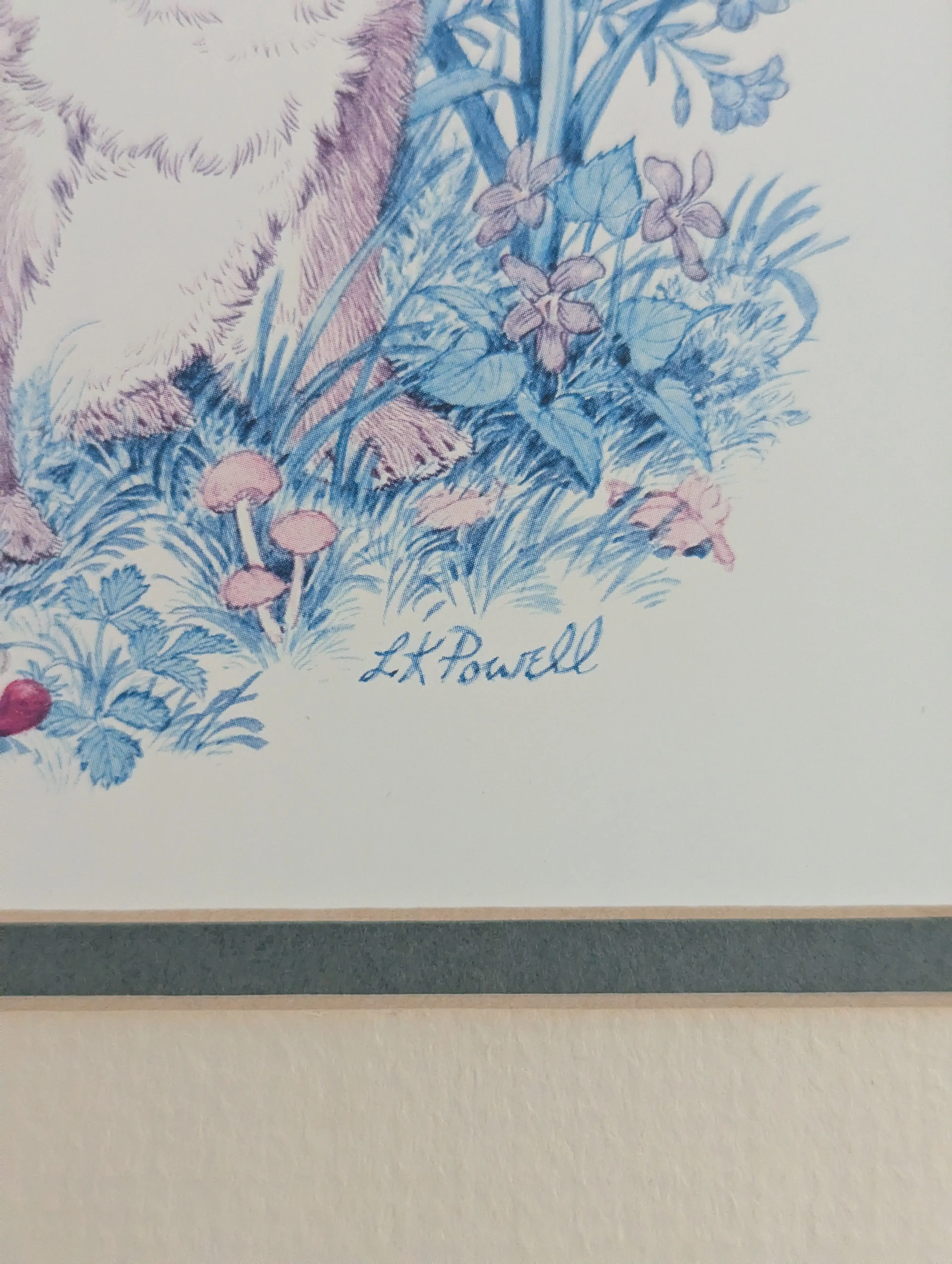 Image 3 of 5