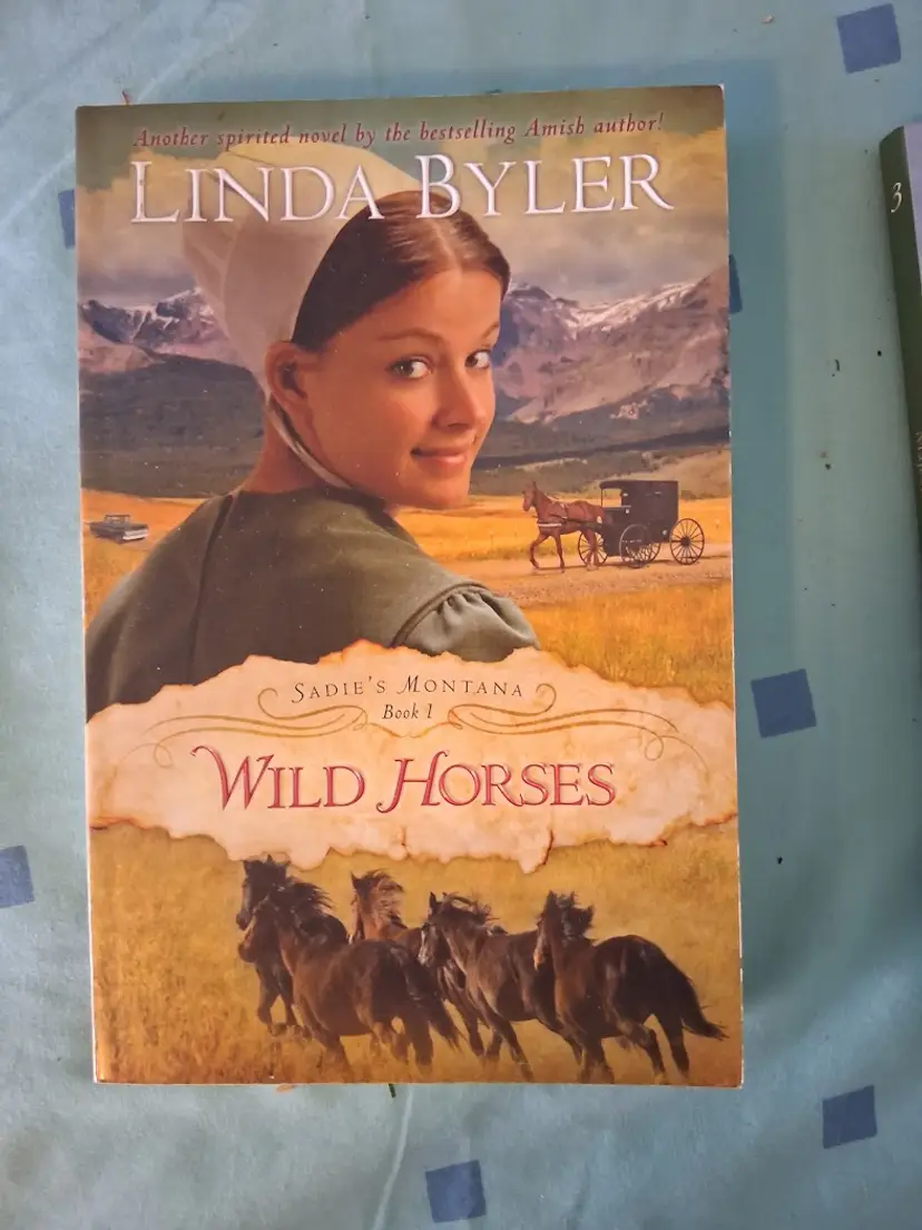 Christian Amish Fiction Book by Linda Byler