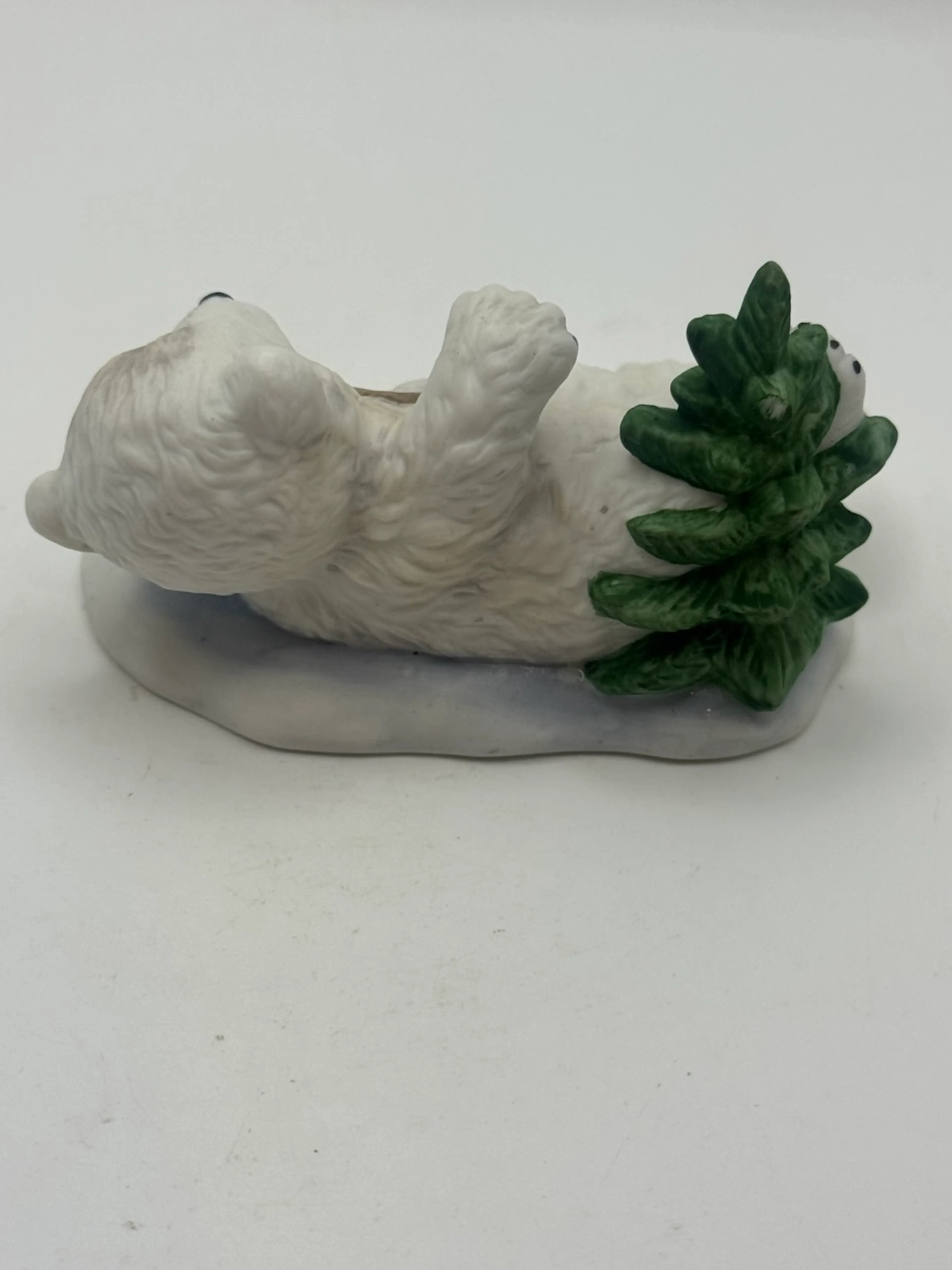 Image 5 of 5