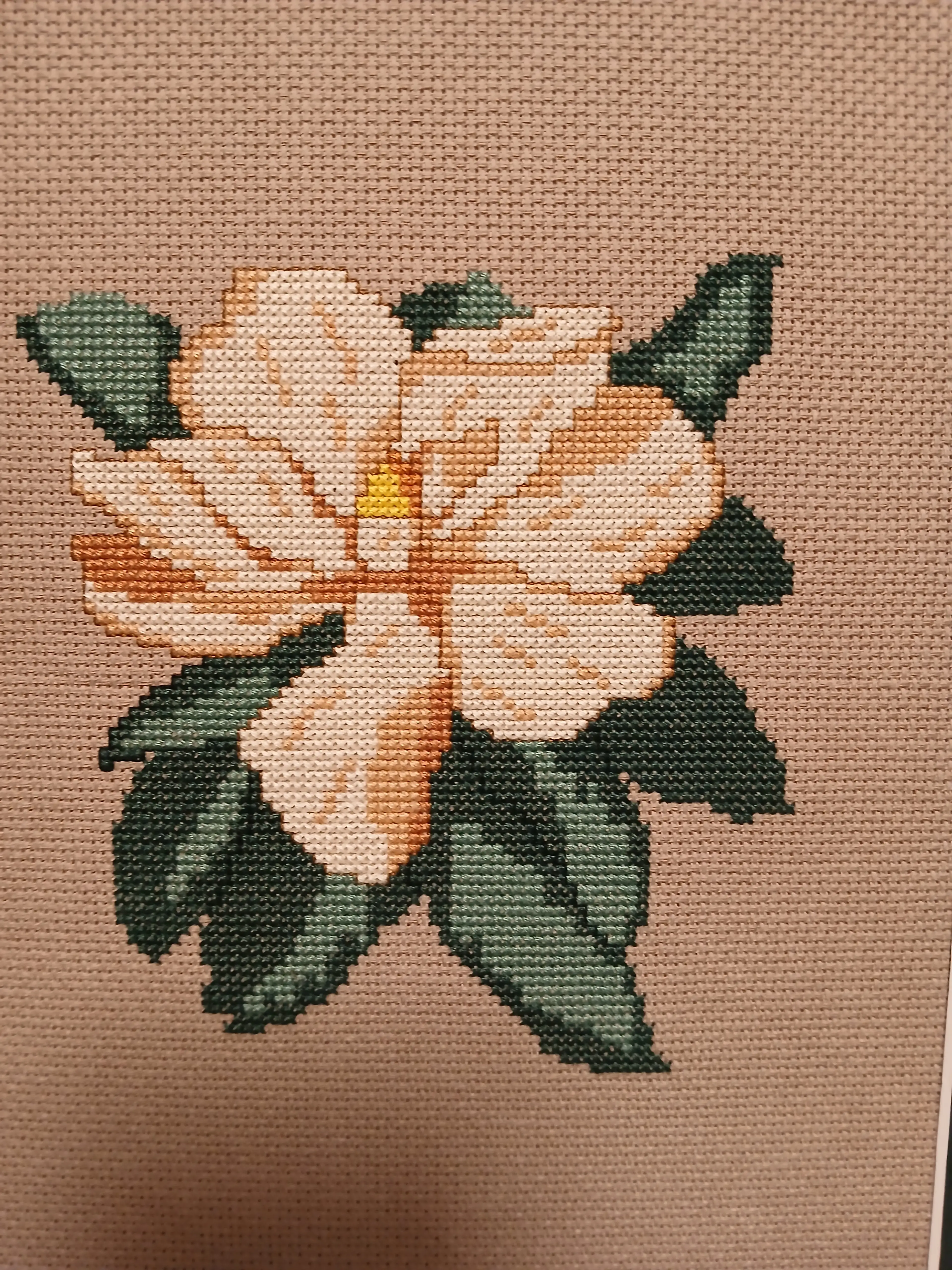 Image 2 of 4