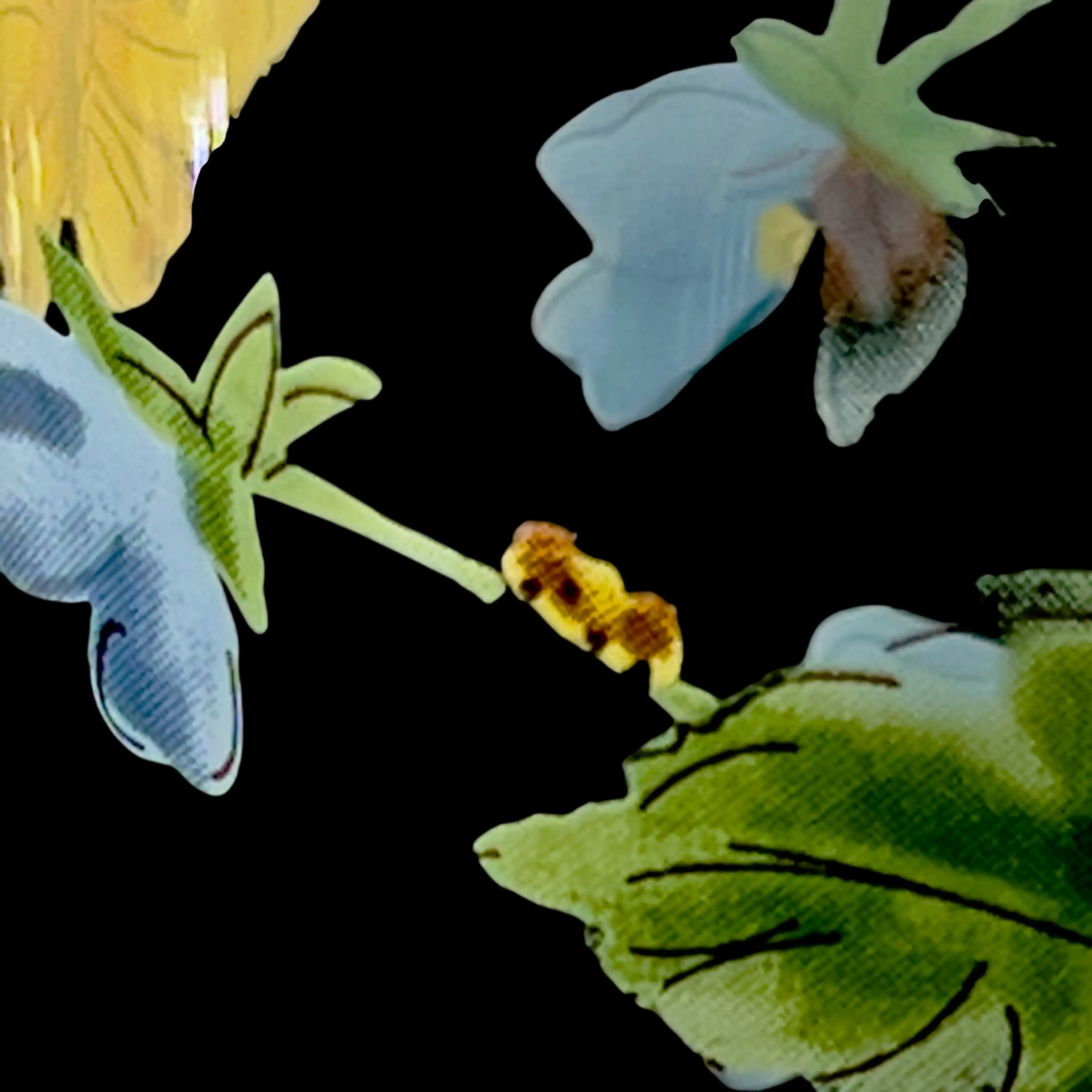 Image 4 of 12