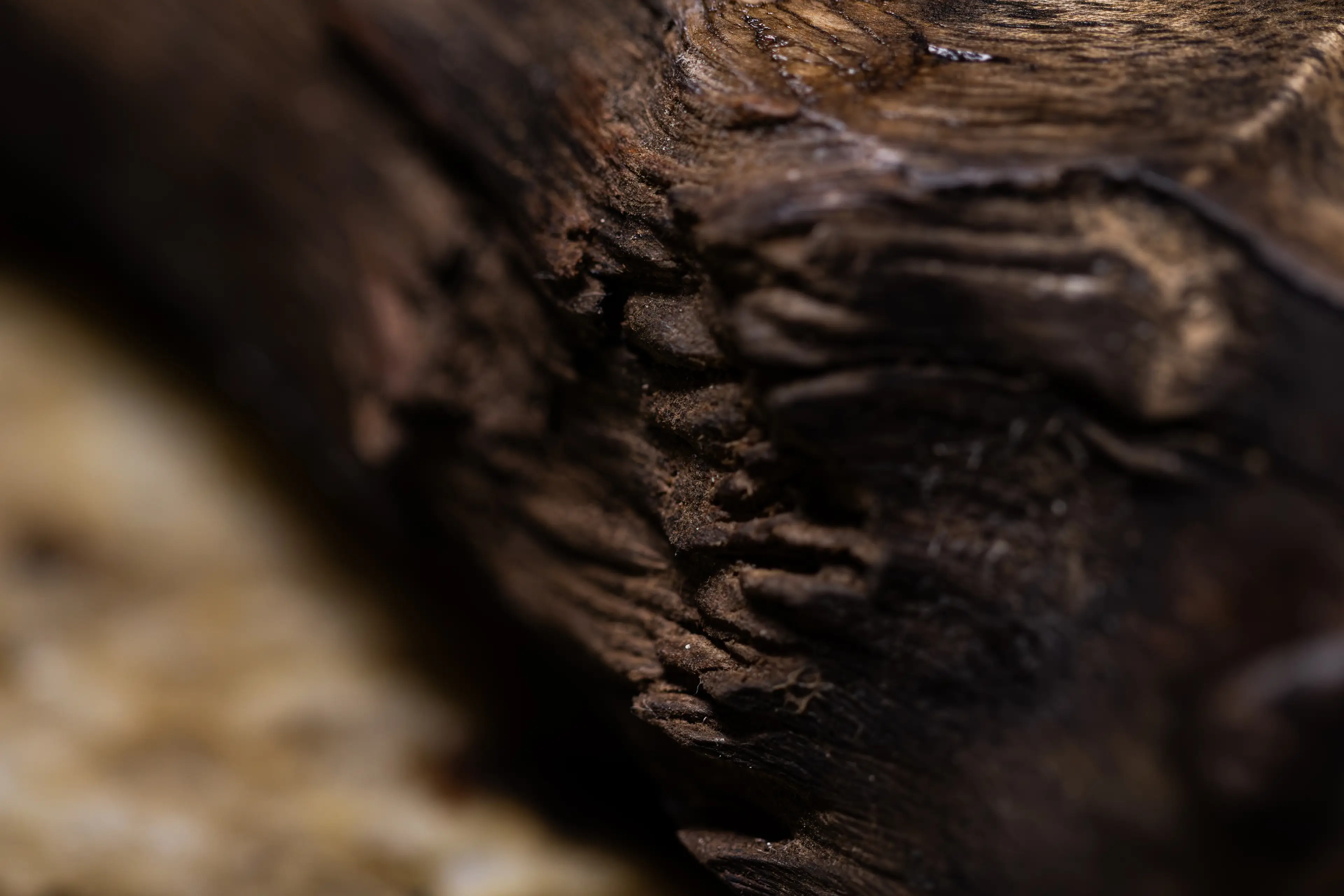 Image 3 of 22