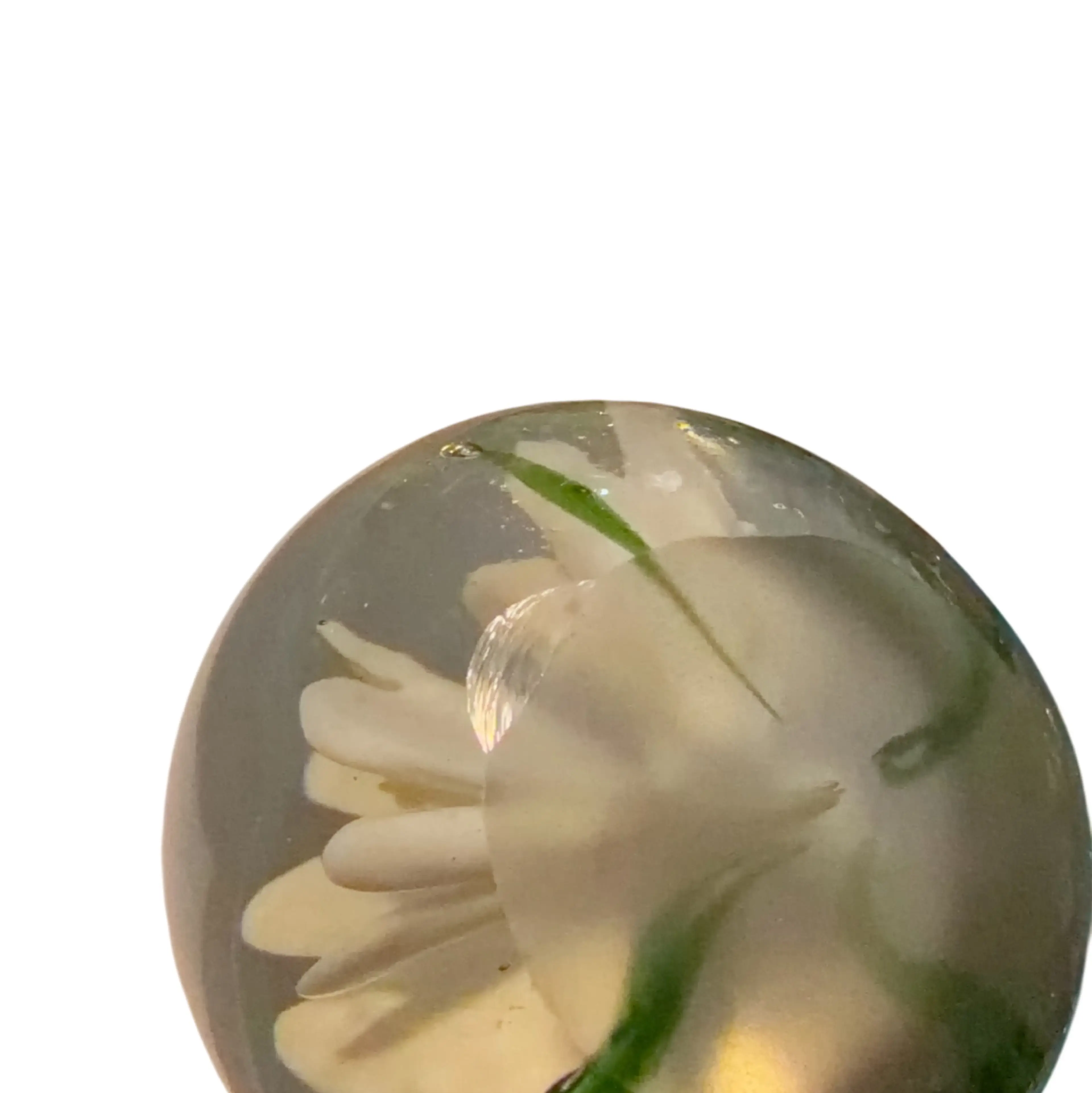 Image 3 of 6