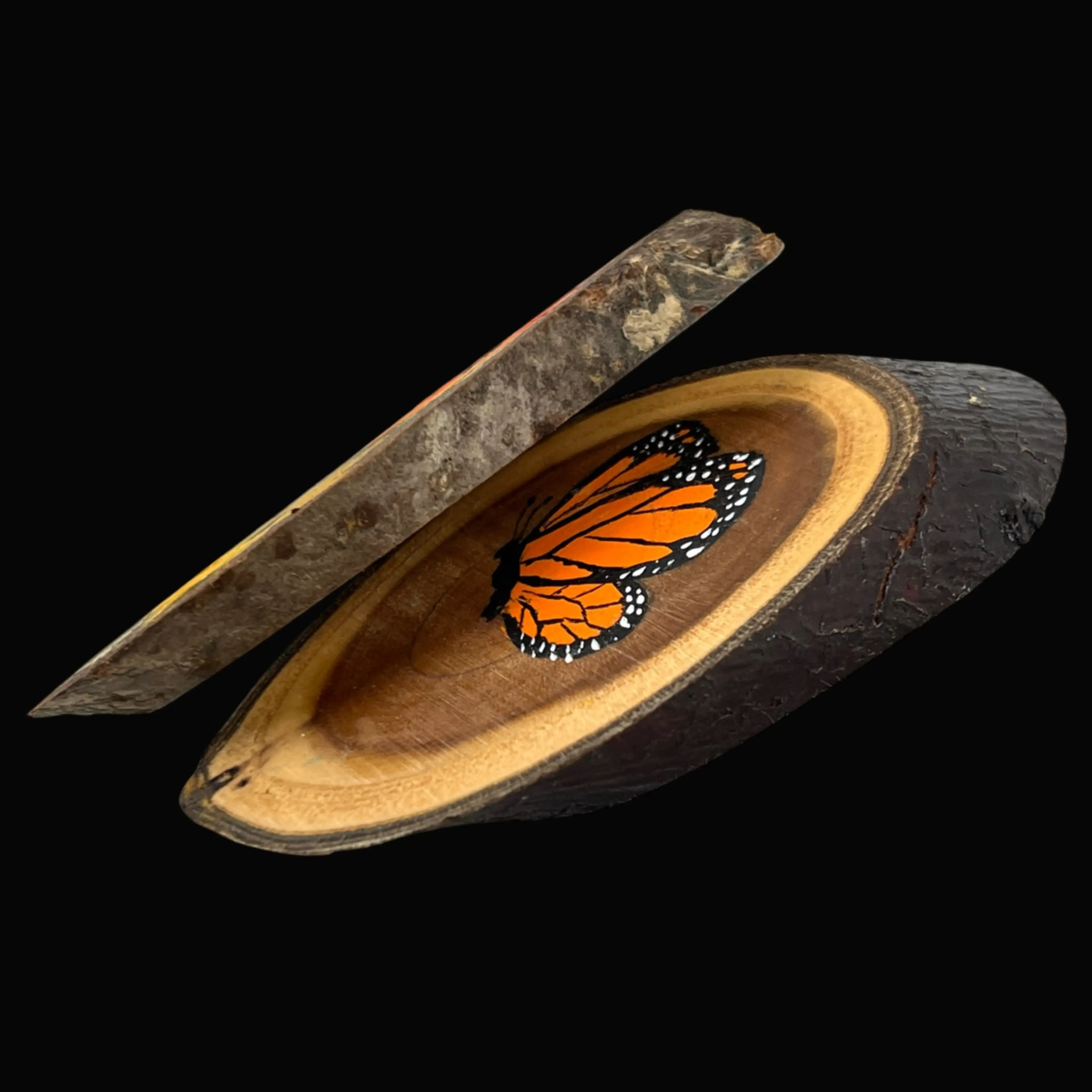 Image 3 of 5