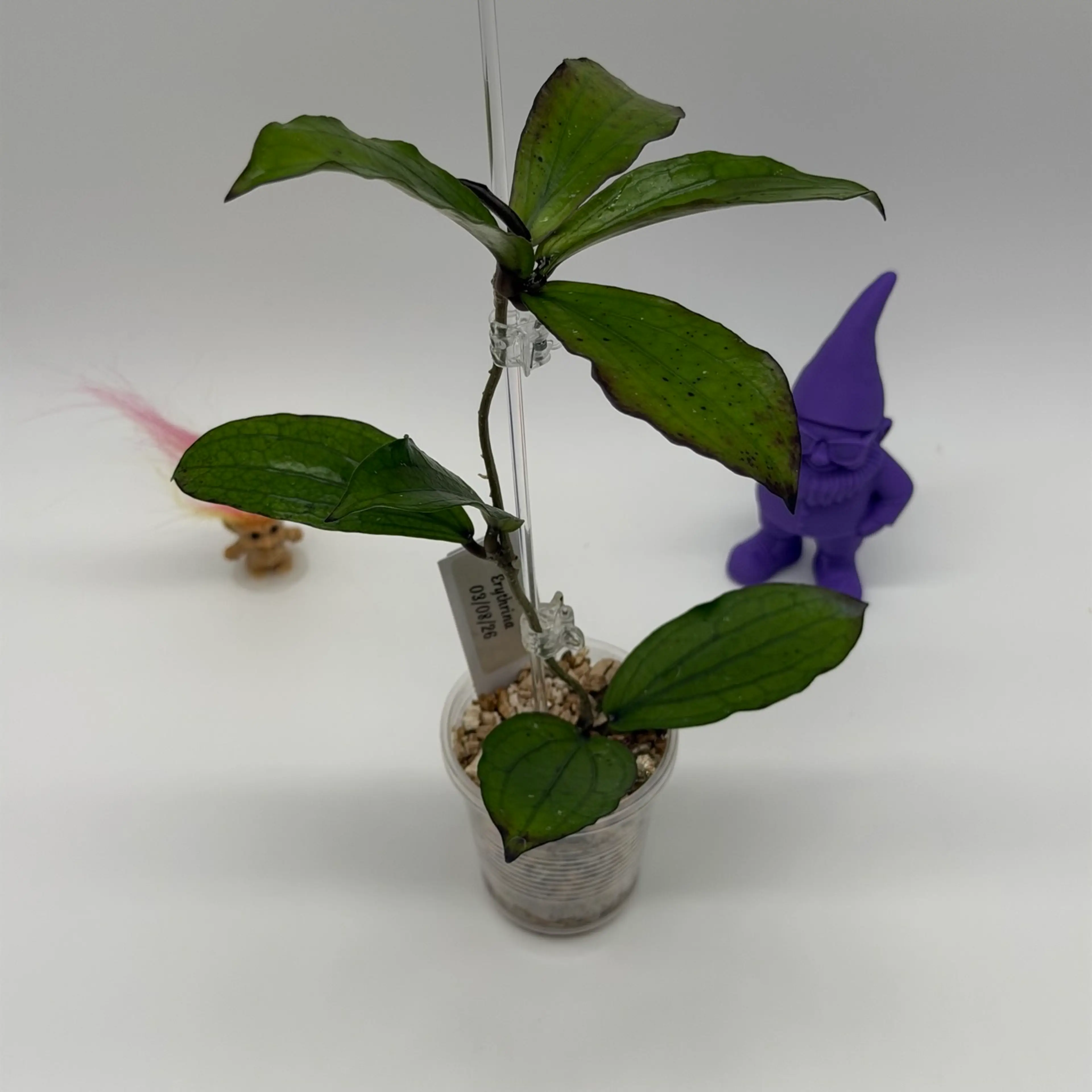 Image 3 of 3