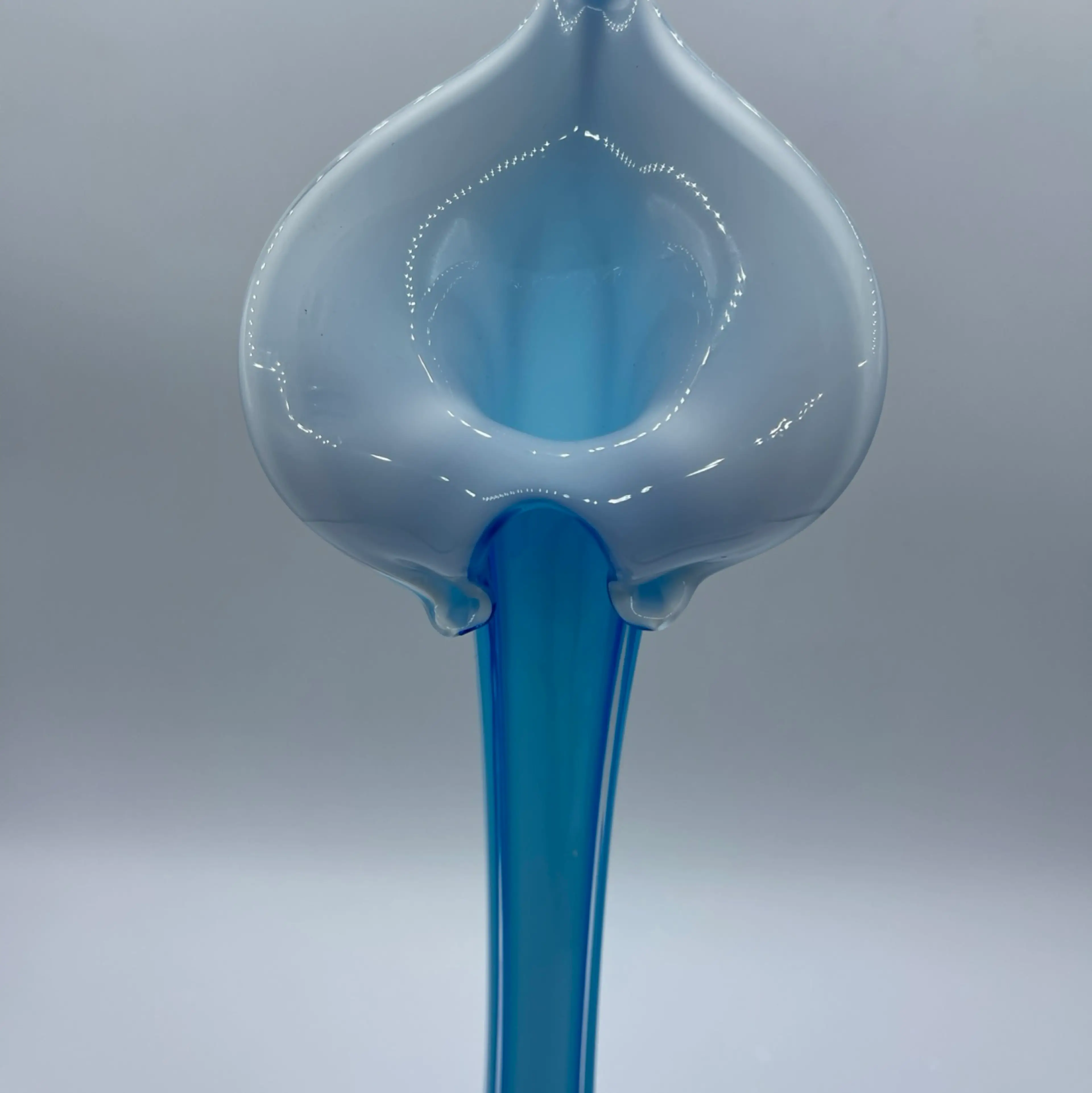 Image 3 of 12