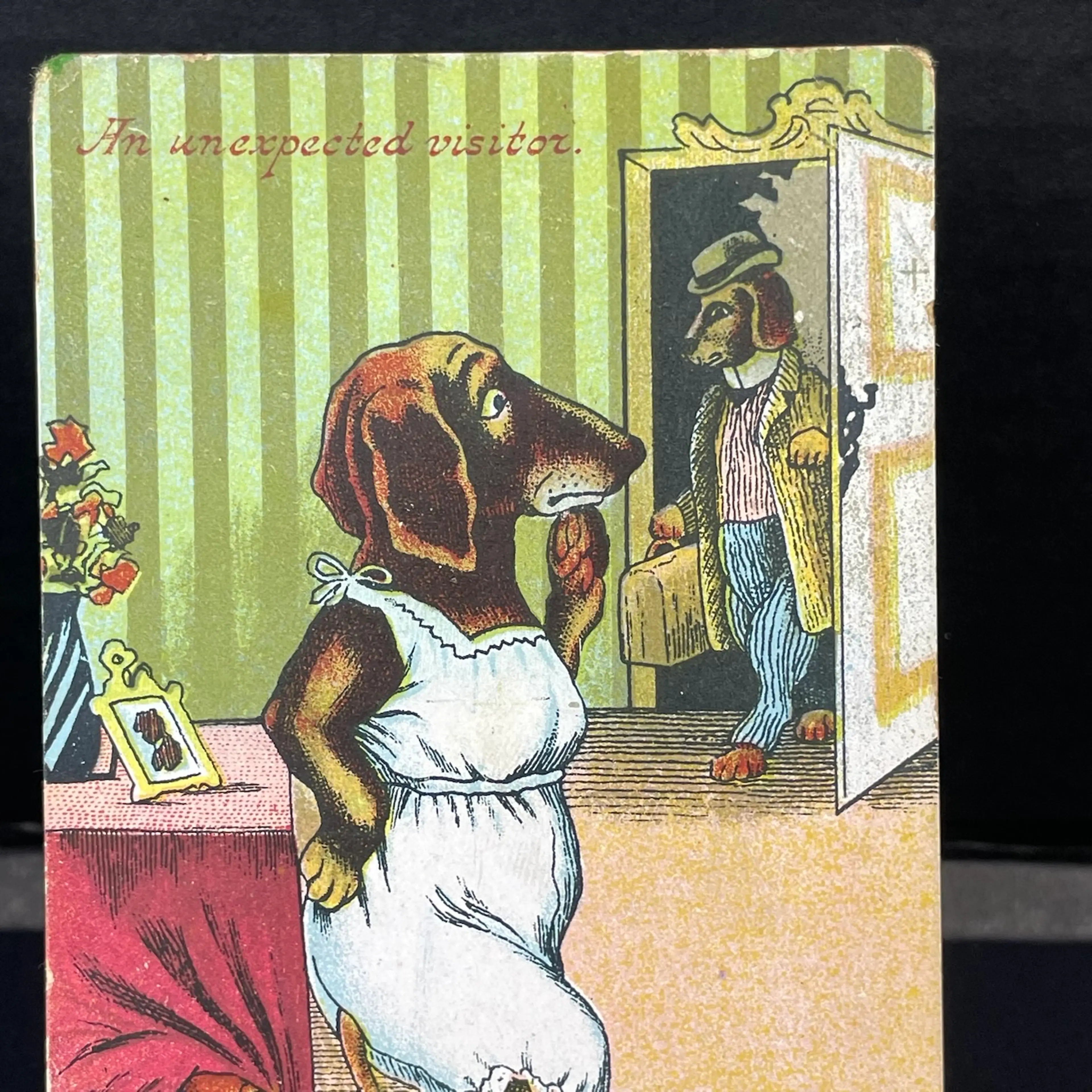 Image 3 of 8