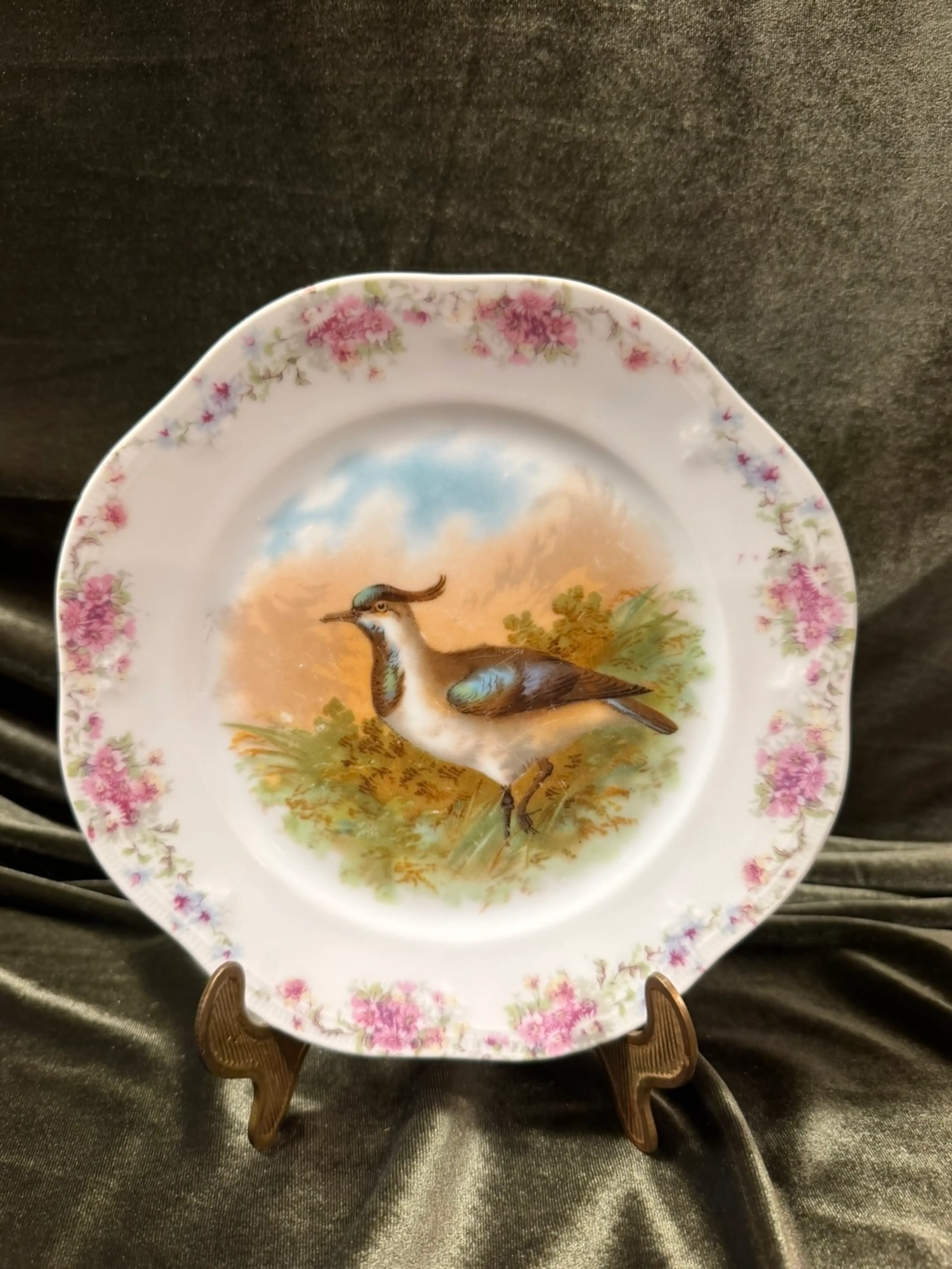 Image 1 of 5