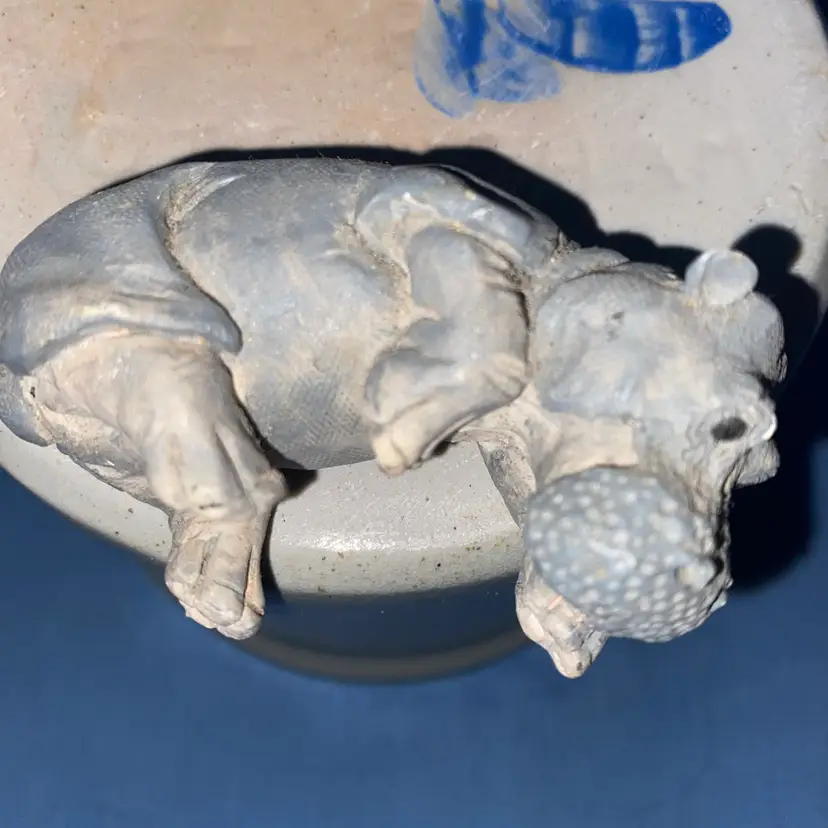 Laying Down Hippo