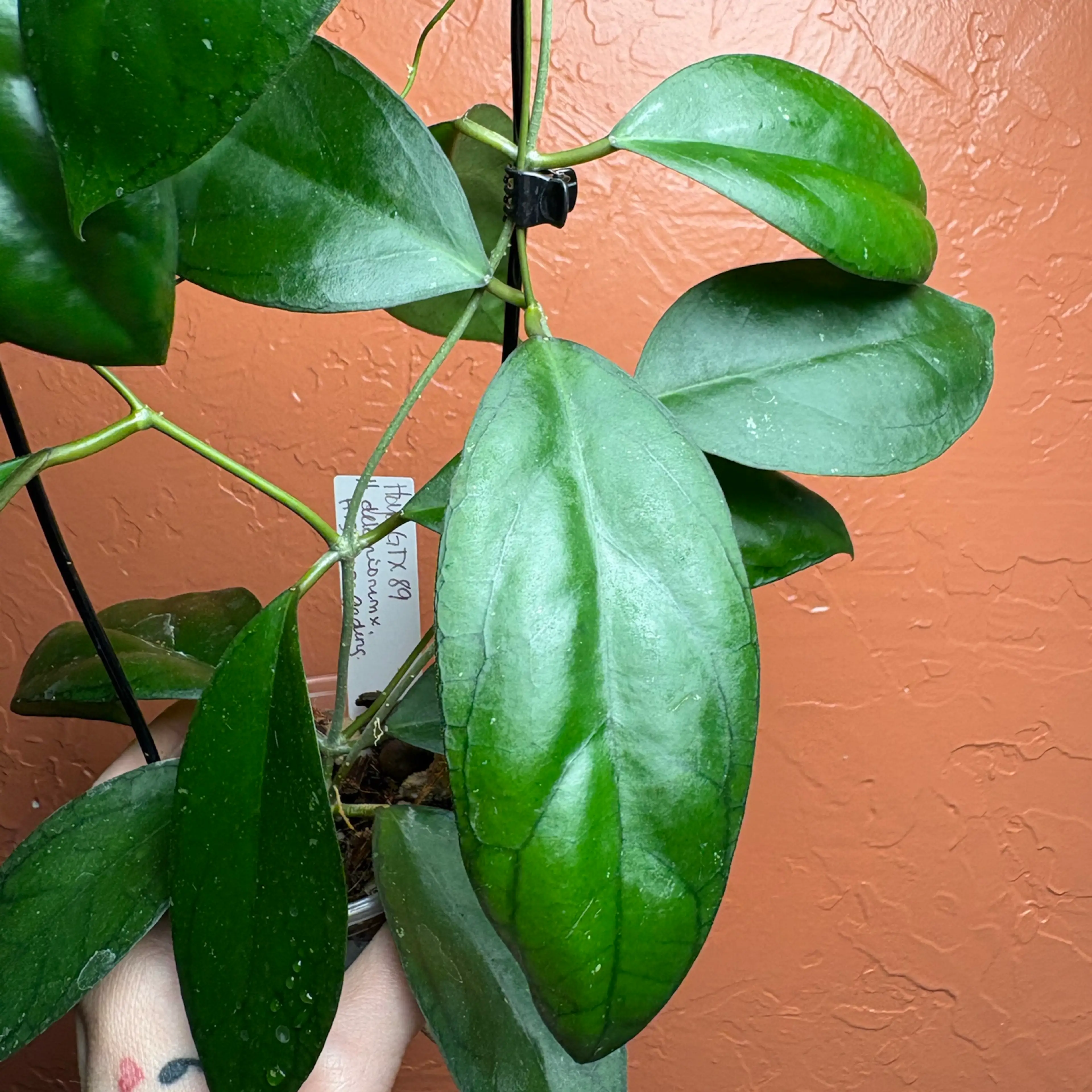 Image 5 of 5