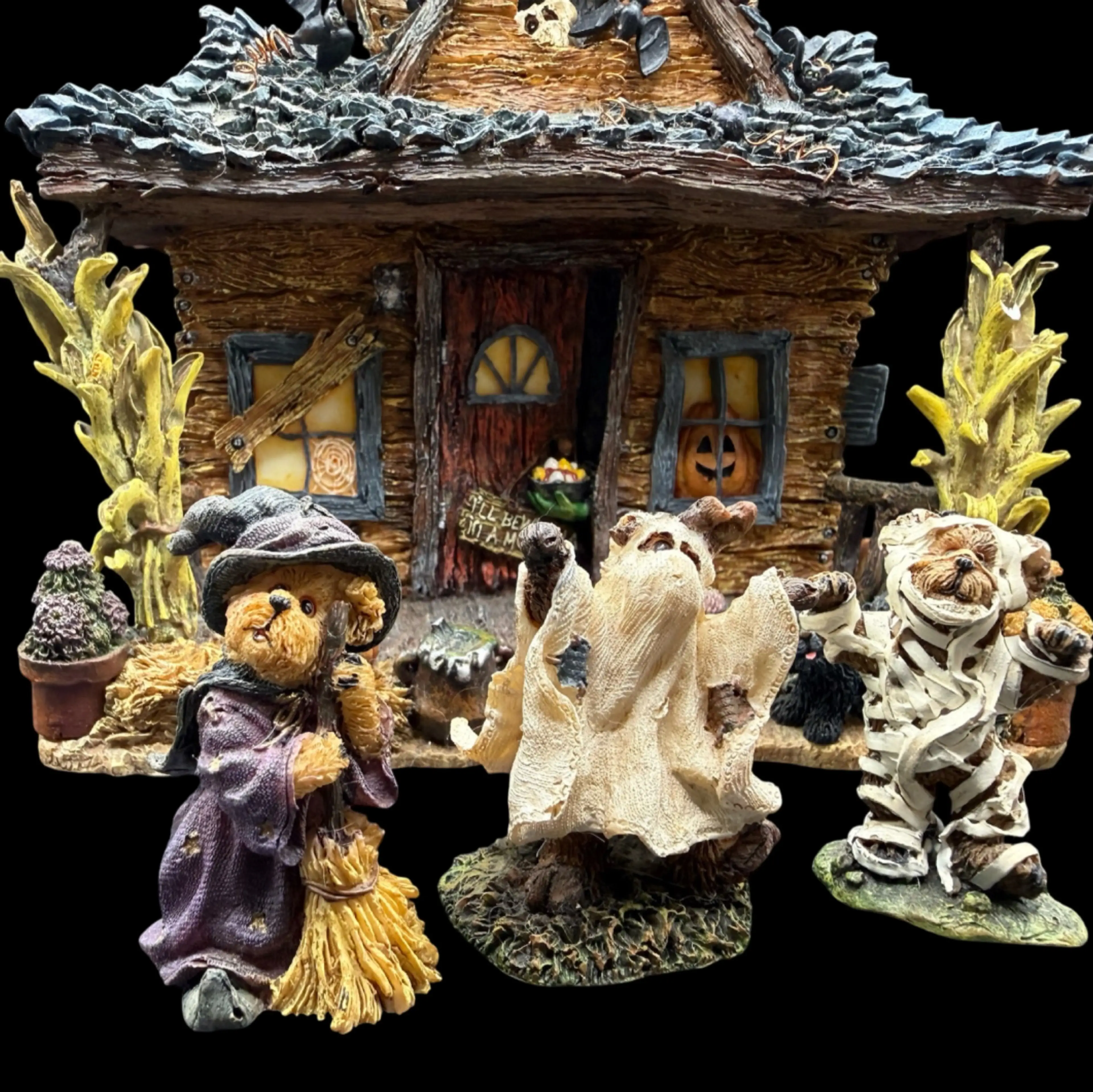 Image 2 of 7