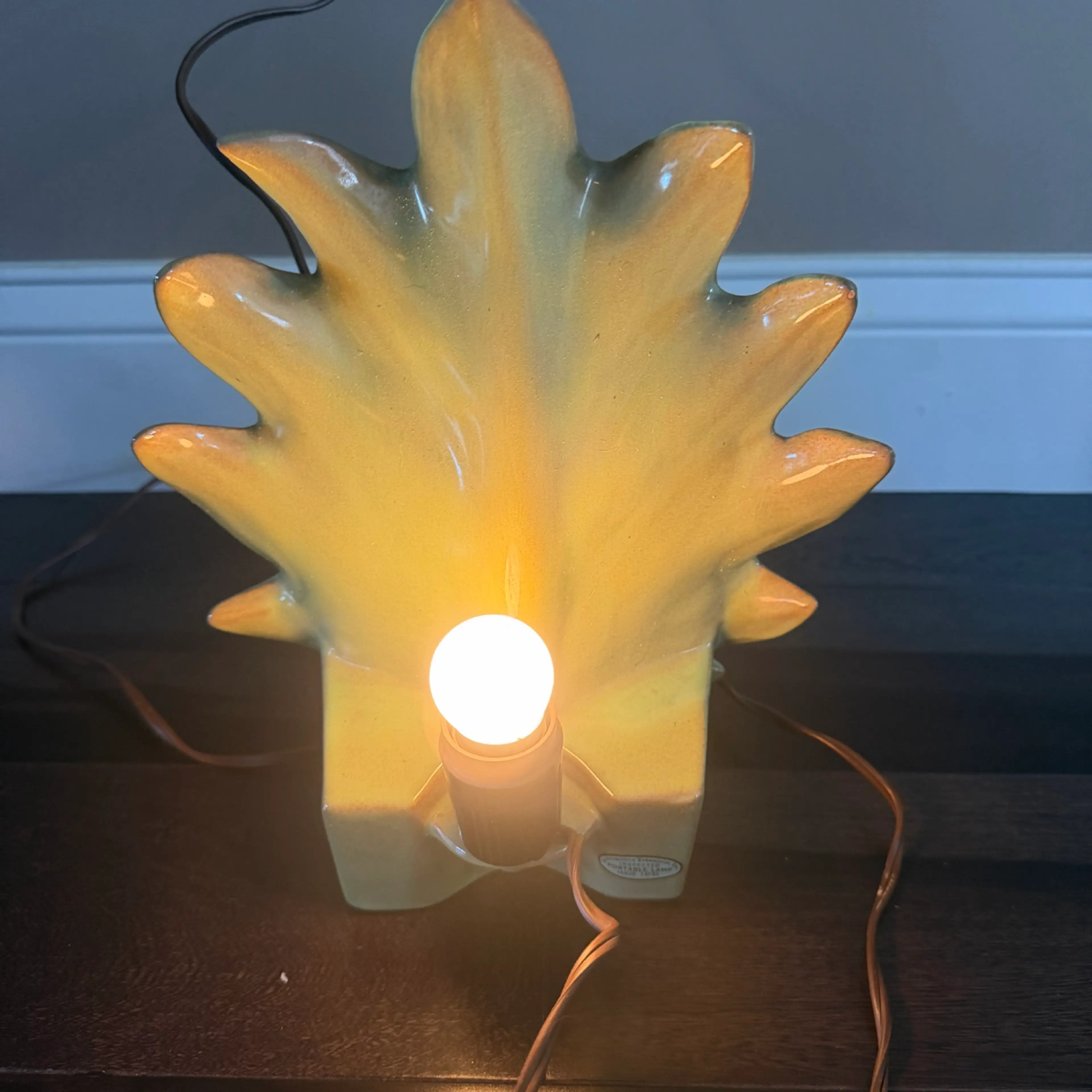 Image 2 of 11