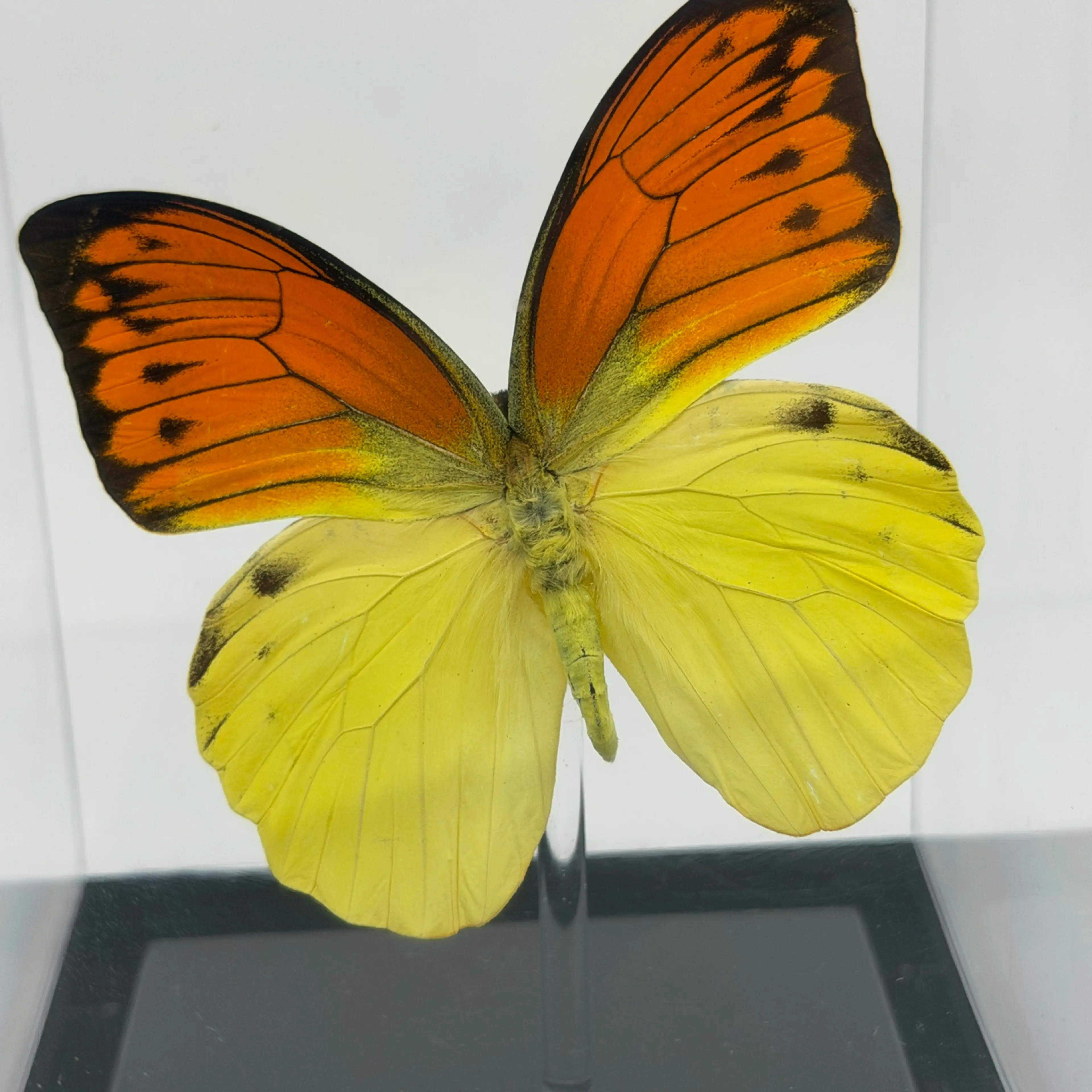 Image 2 of 8