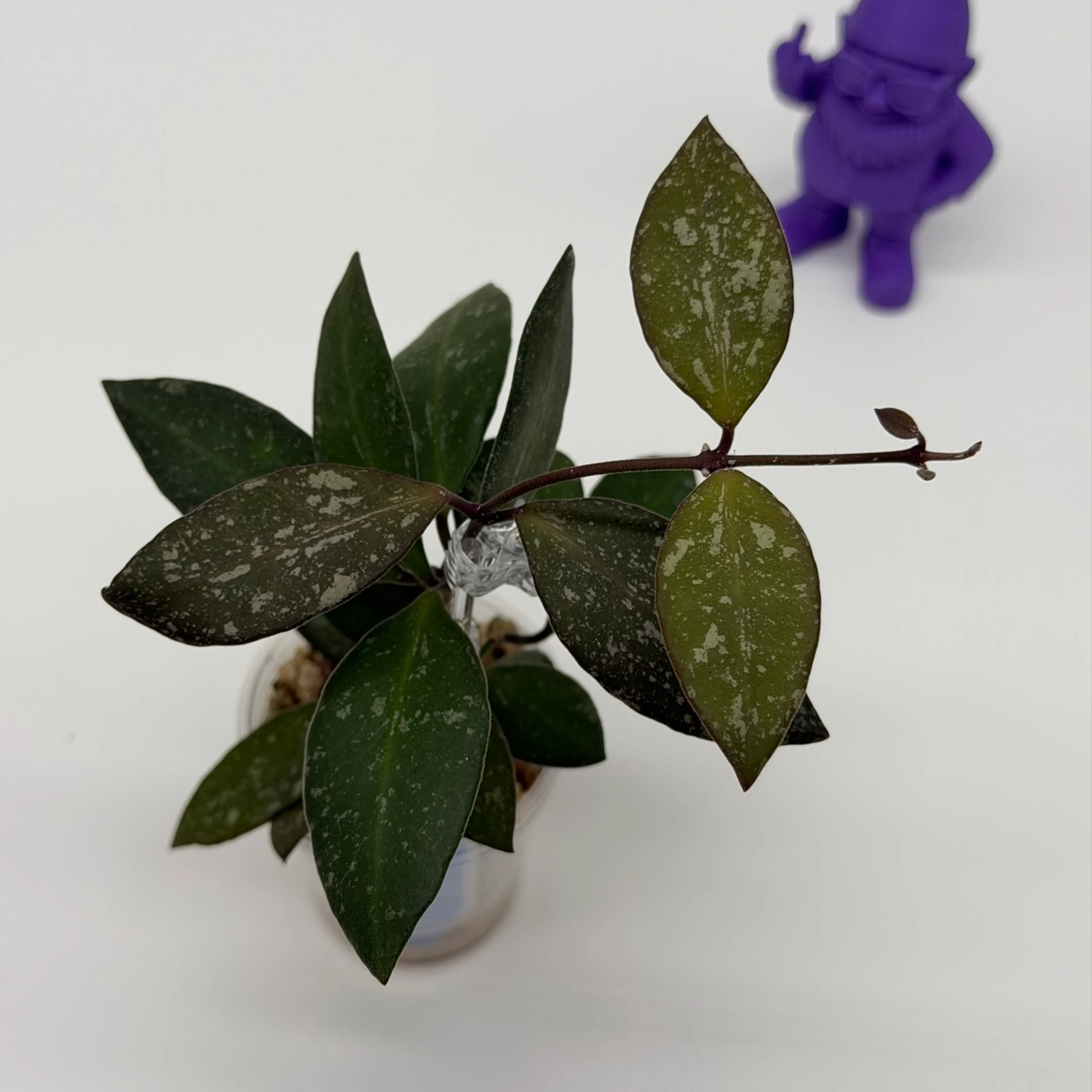 Image 3 of 4