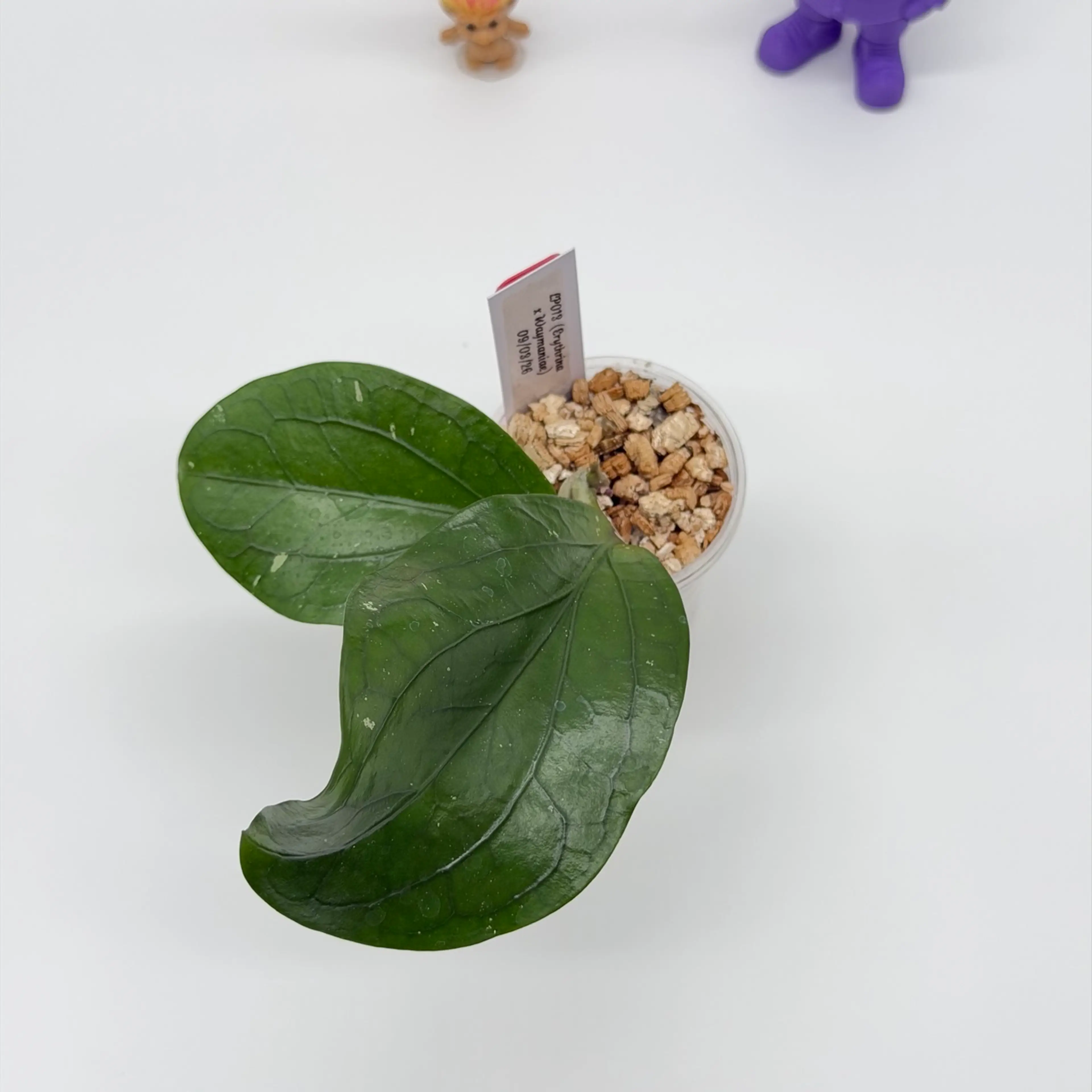 Image 1 of 3