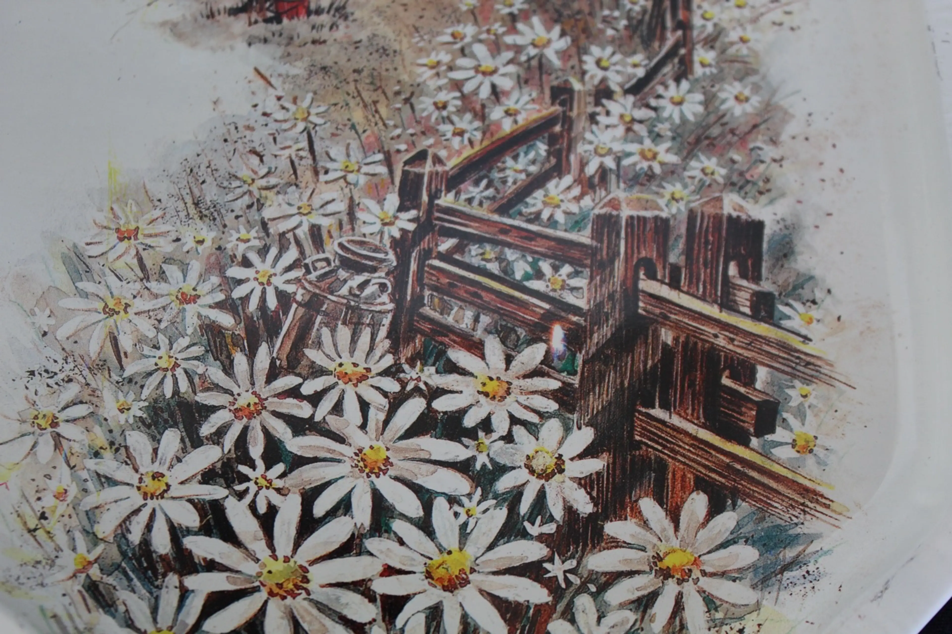 Image 4 of 7