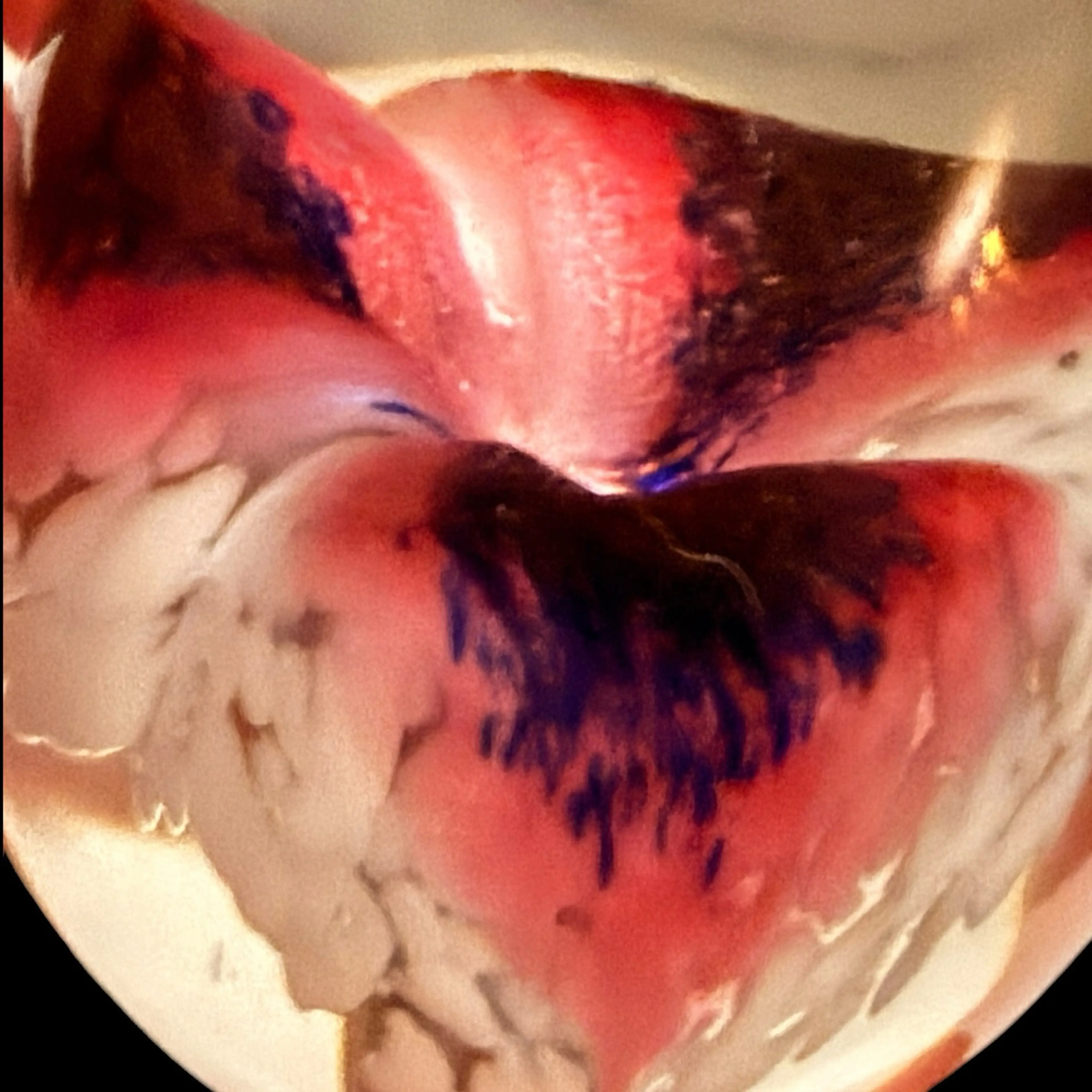 Image 5 of 6