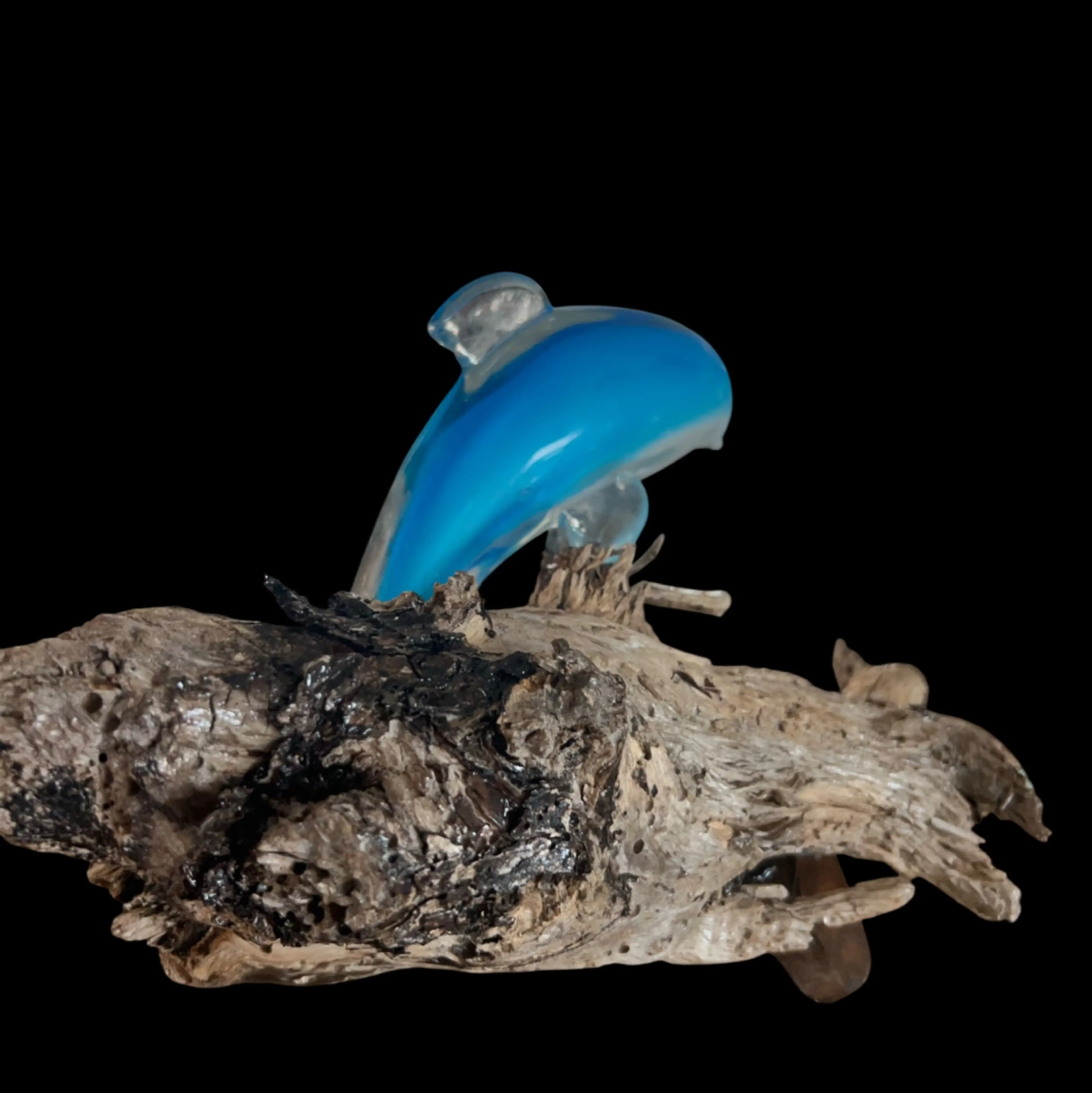 Image 4 of 7