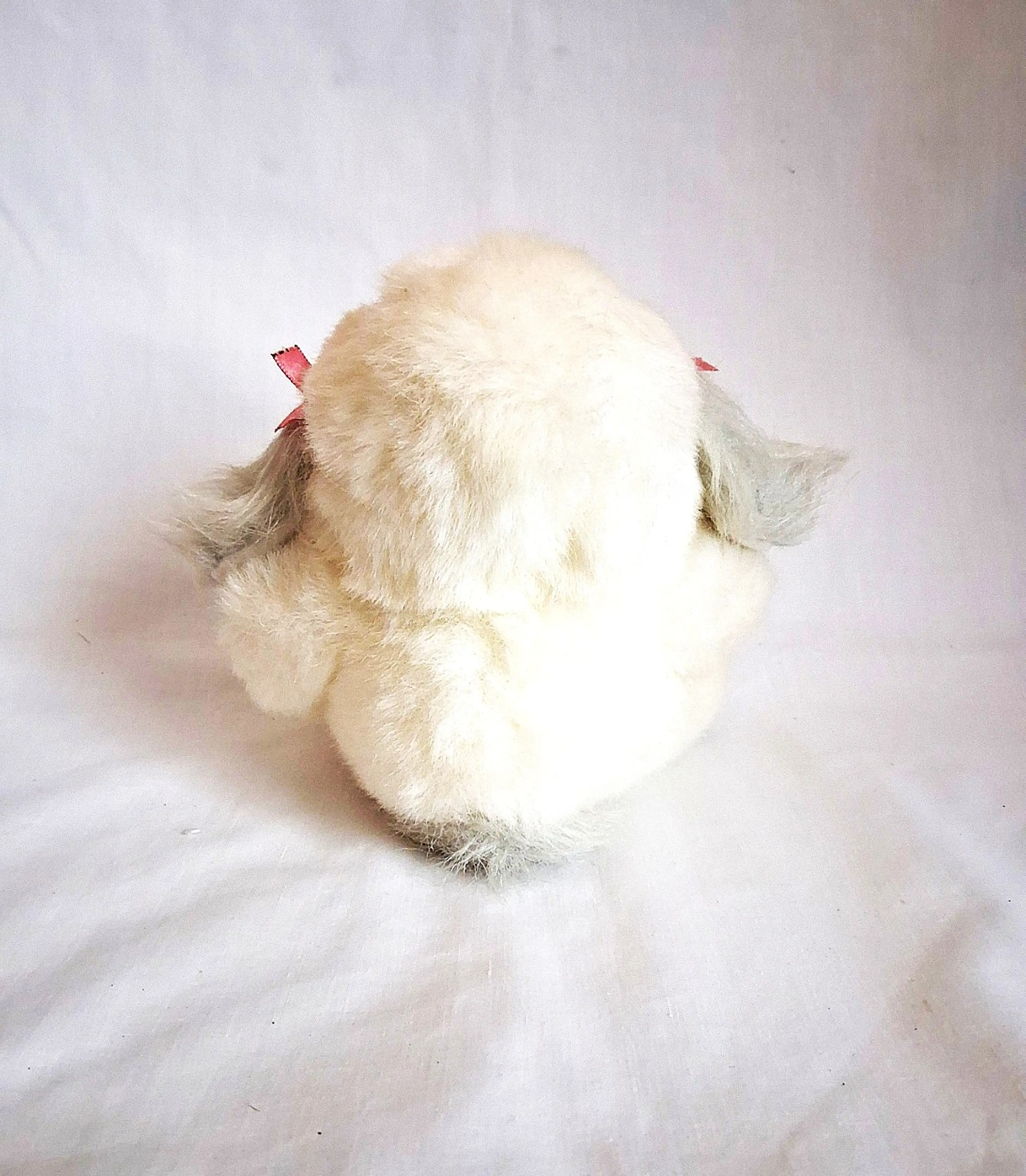 Image 3 of 6