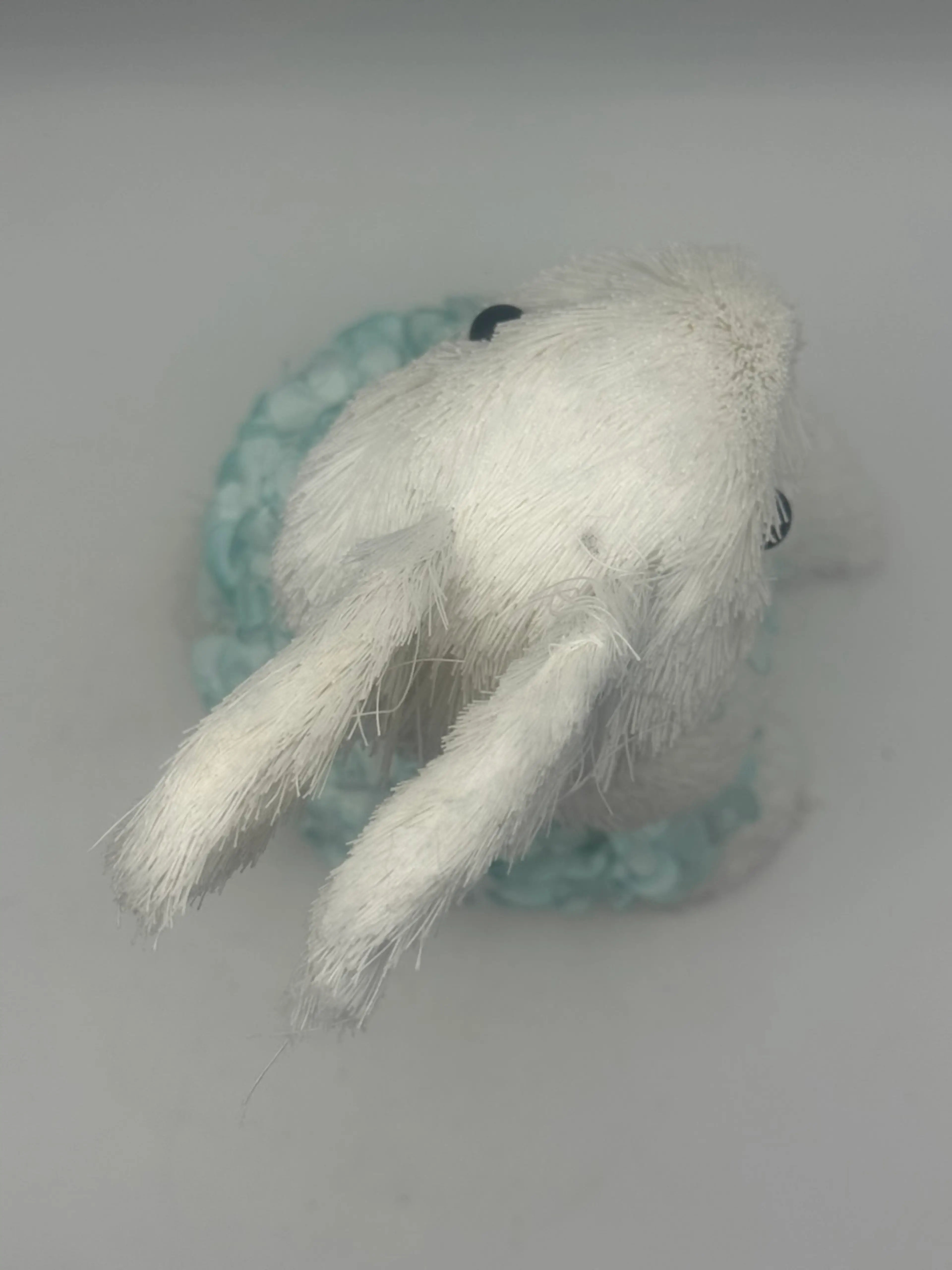 Image 5 of 6