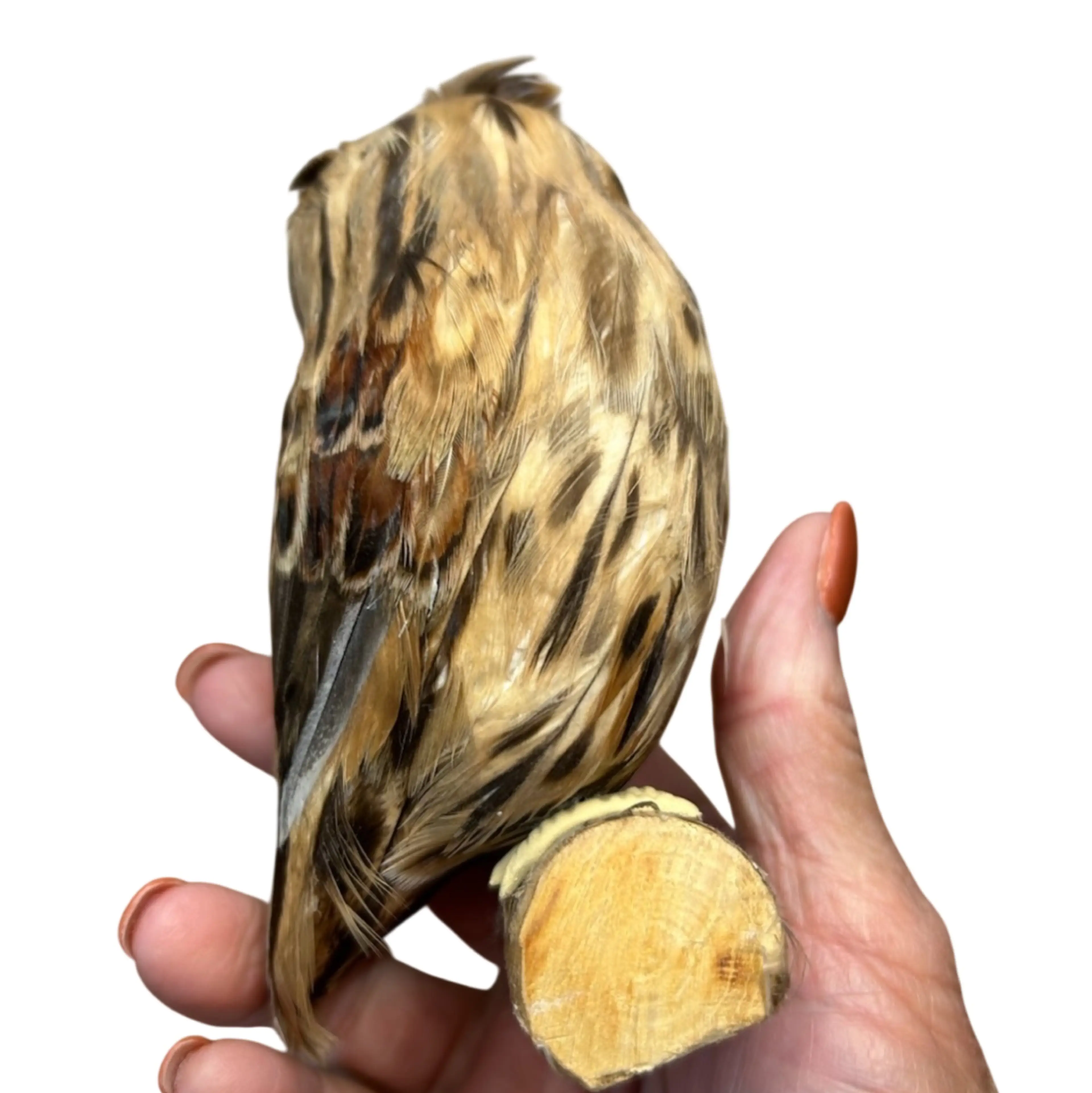 Image 4 of 4
