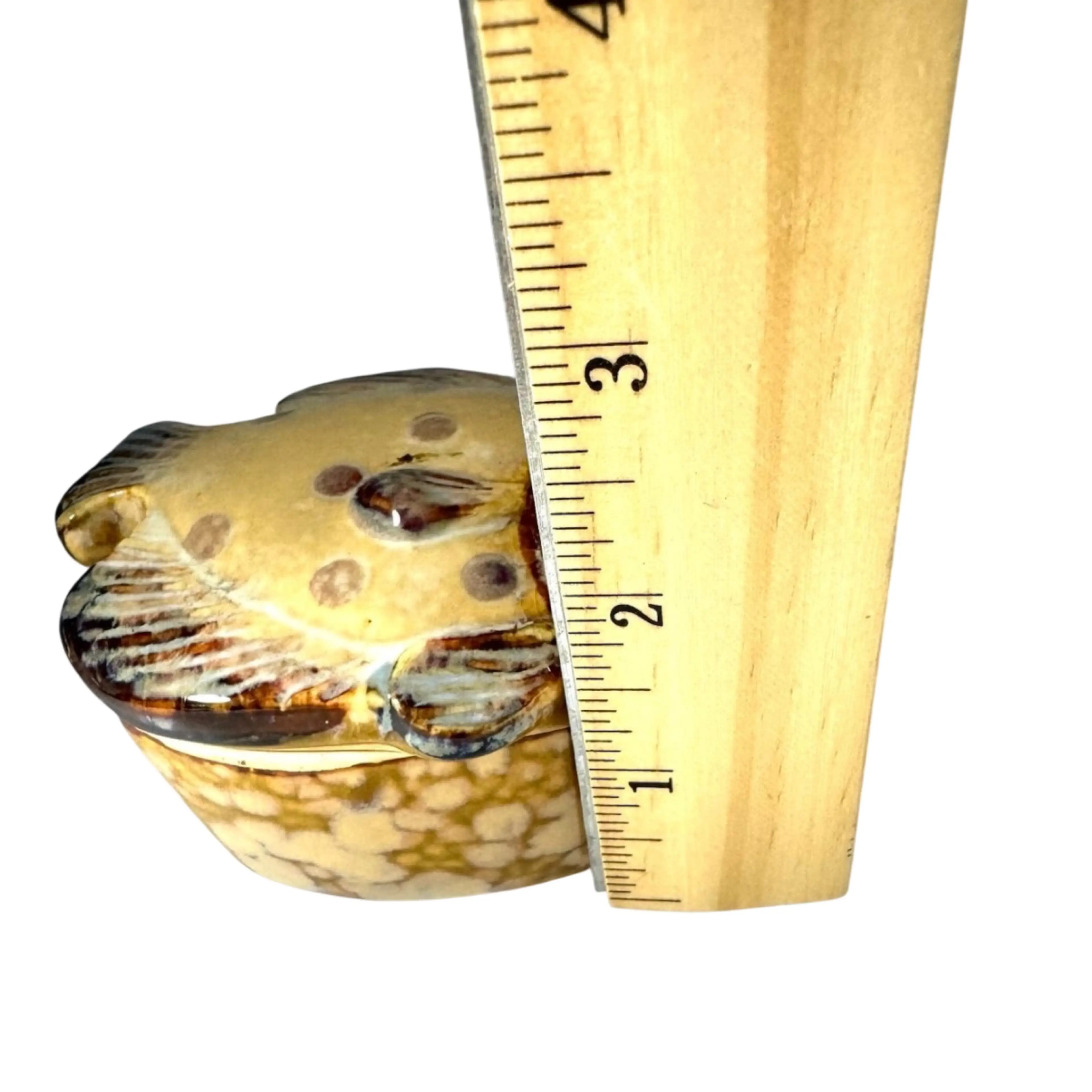 Image 4 of 5
