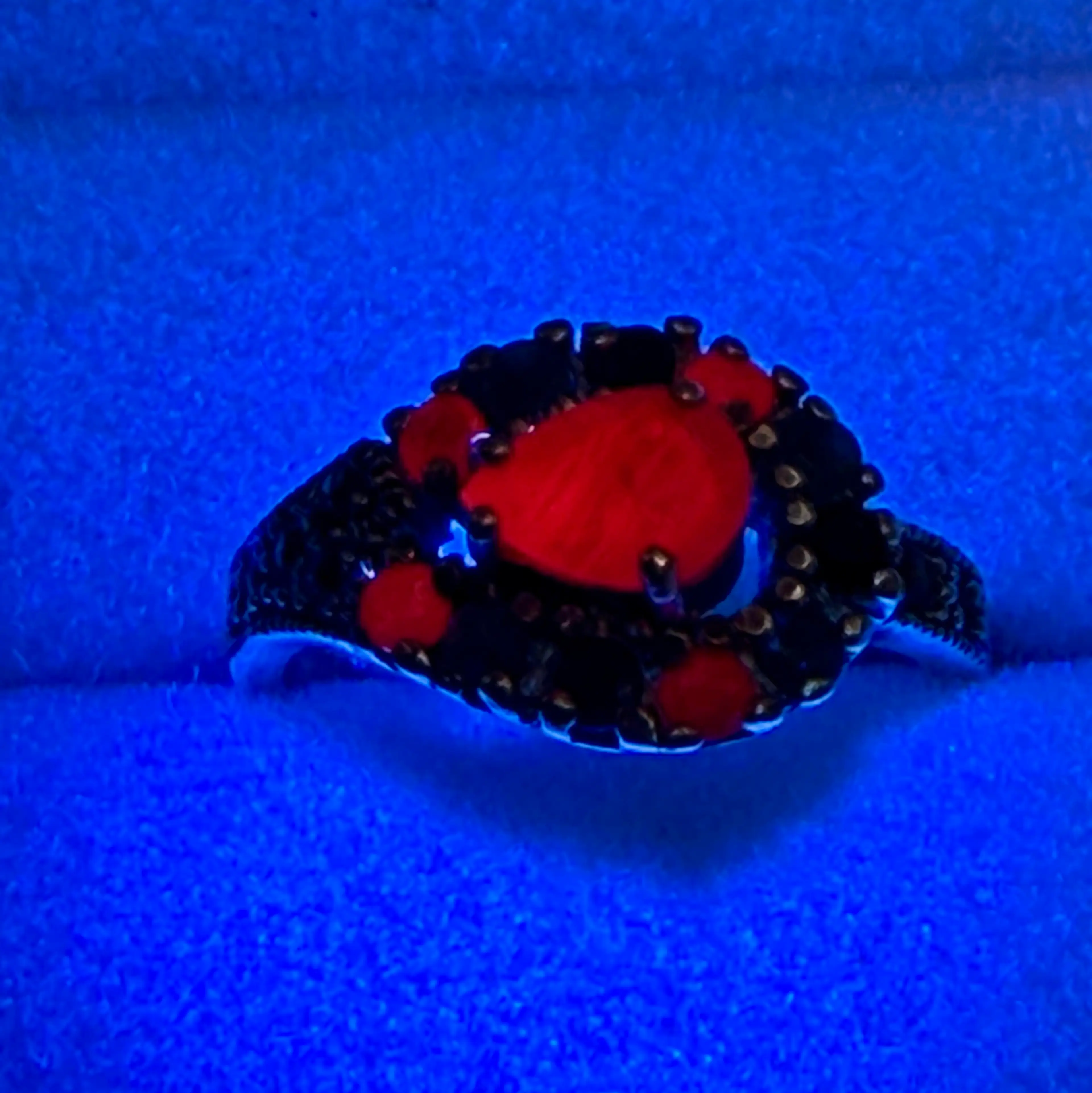 Image 3 of 6