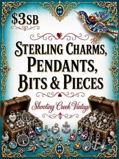 Bits And Pieces Sale. Loads Sterling Charms And Pendants