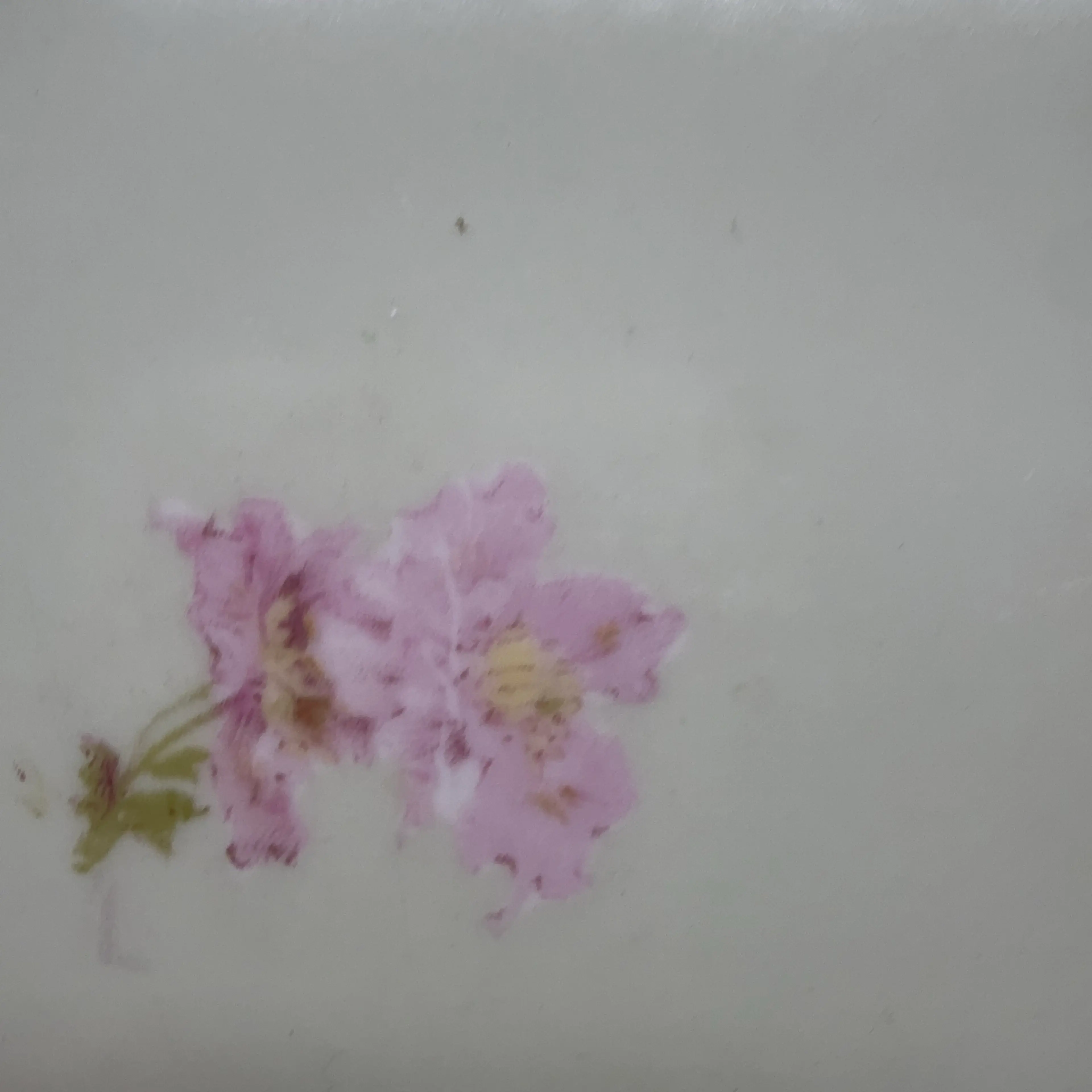 Image 3 of 5