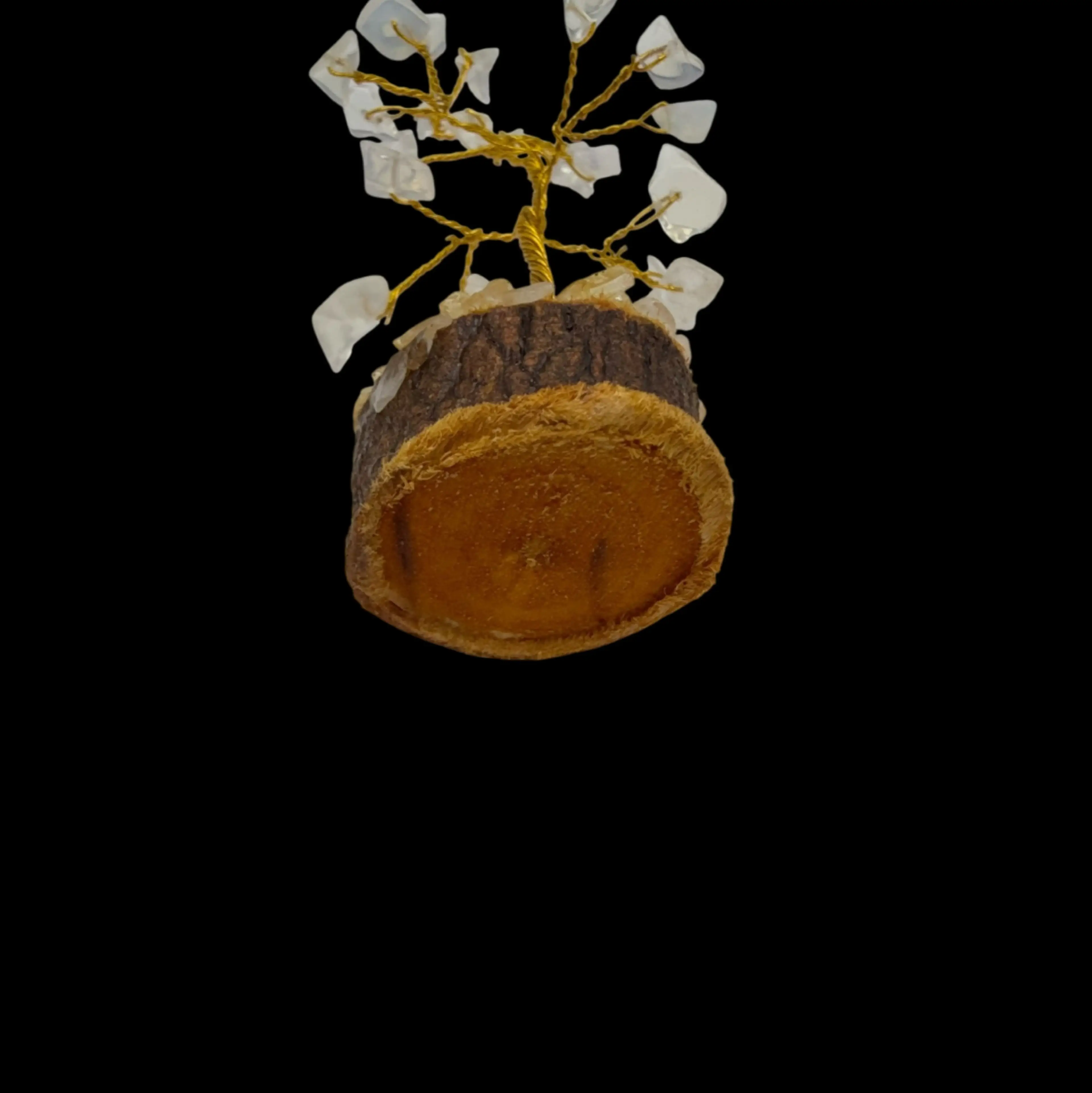 Image 2 of 3