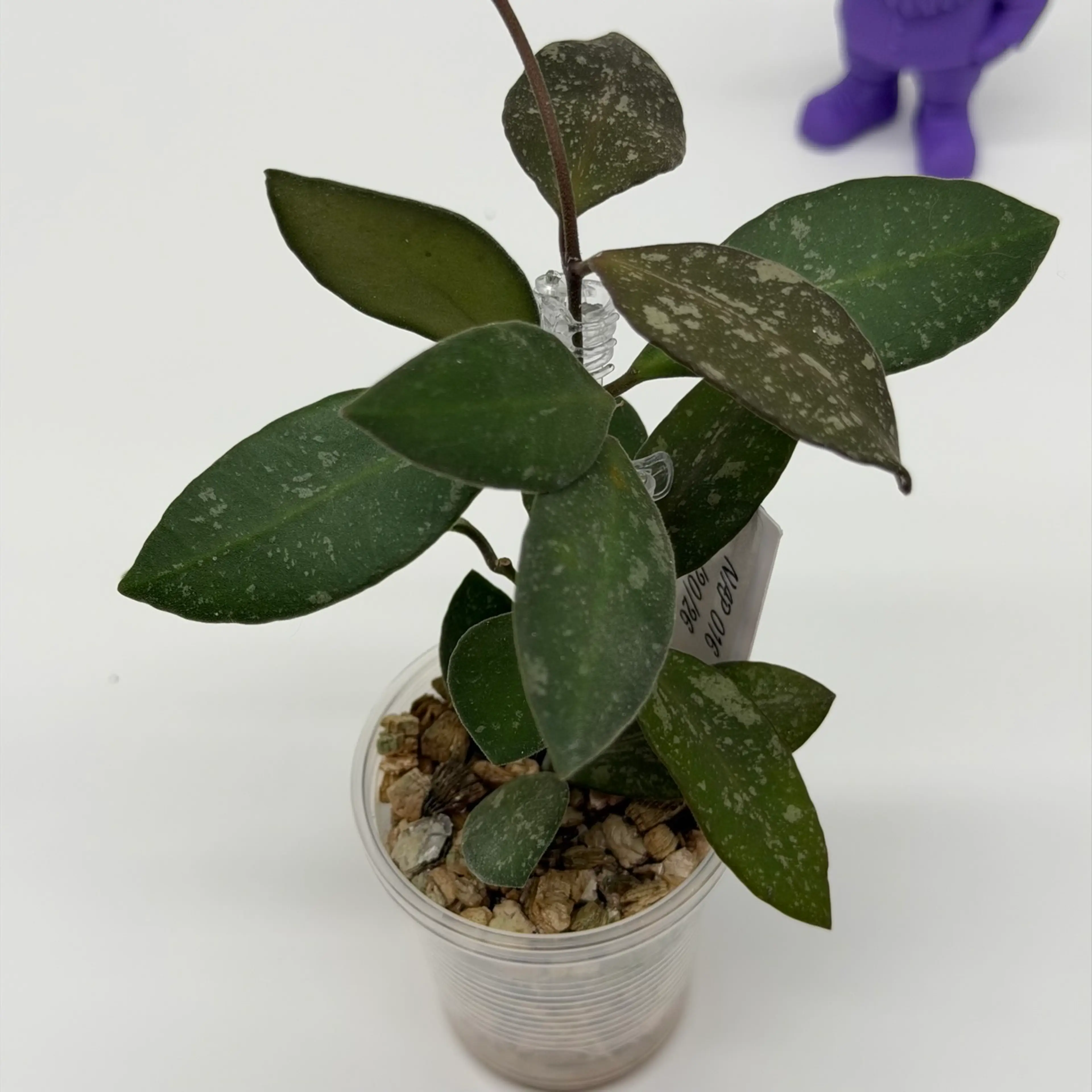 Image 4 of 4