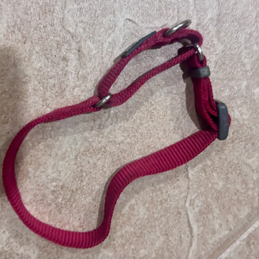 Adjustable Red Dog Collar with Metal Rings . Used