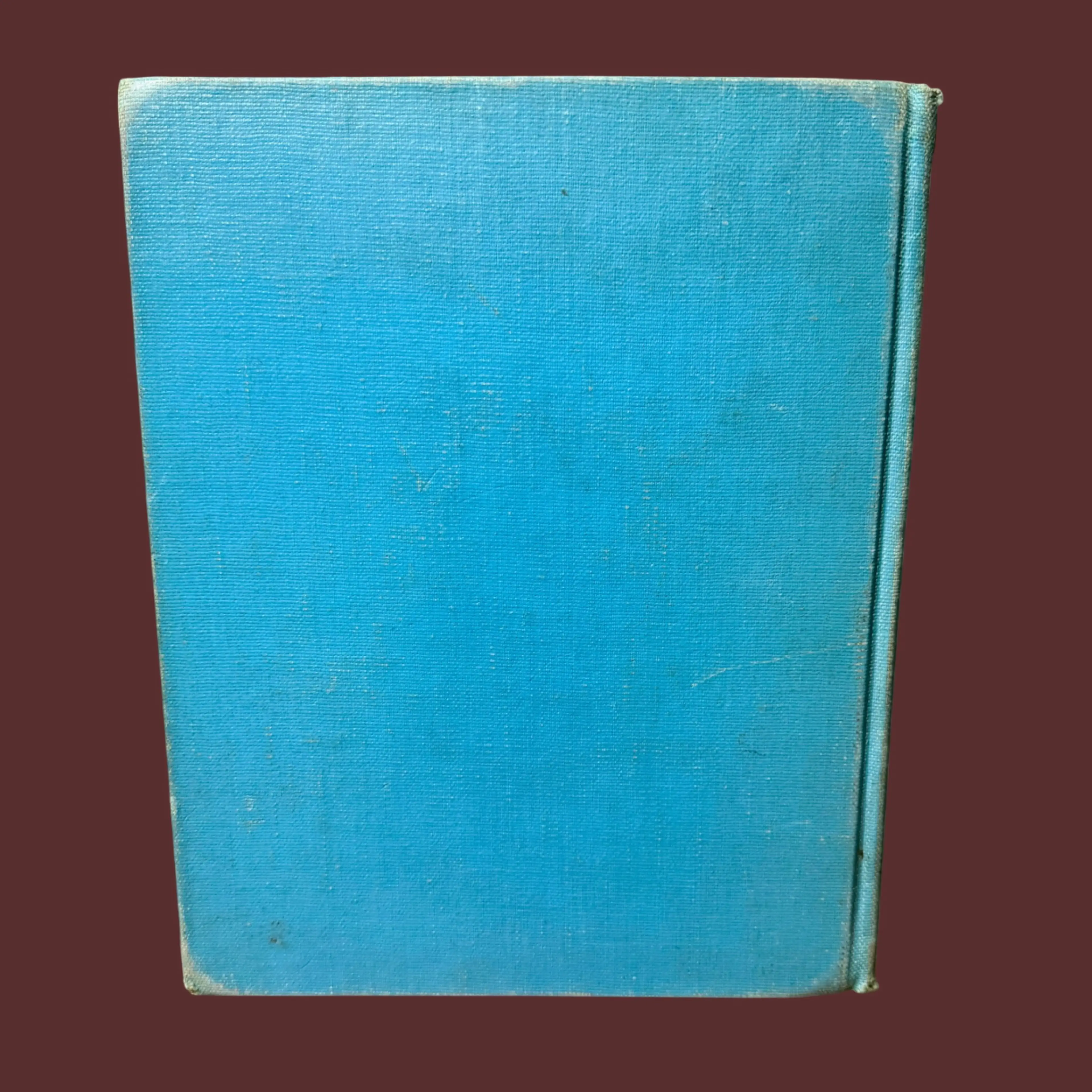 Image 3 of 12