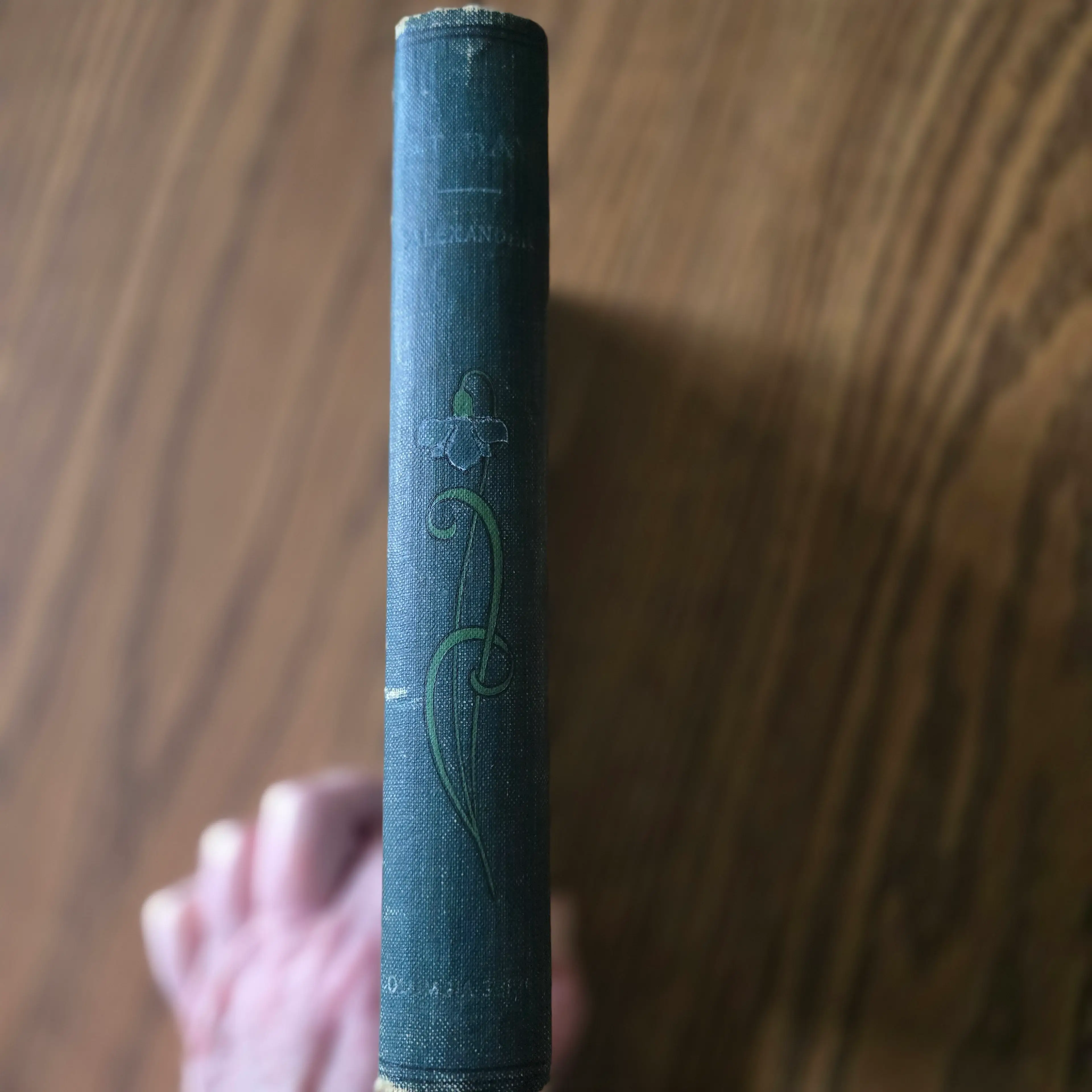 Image 4 of 17