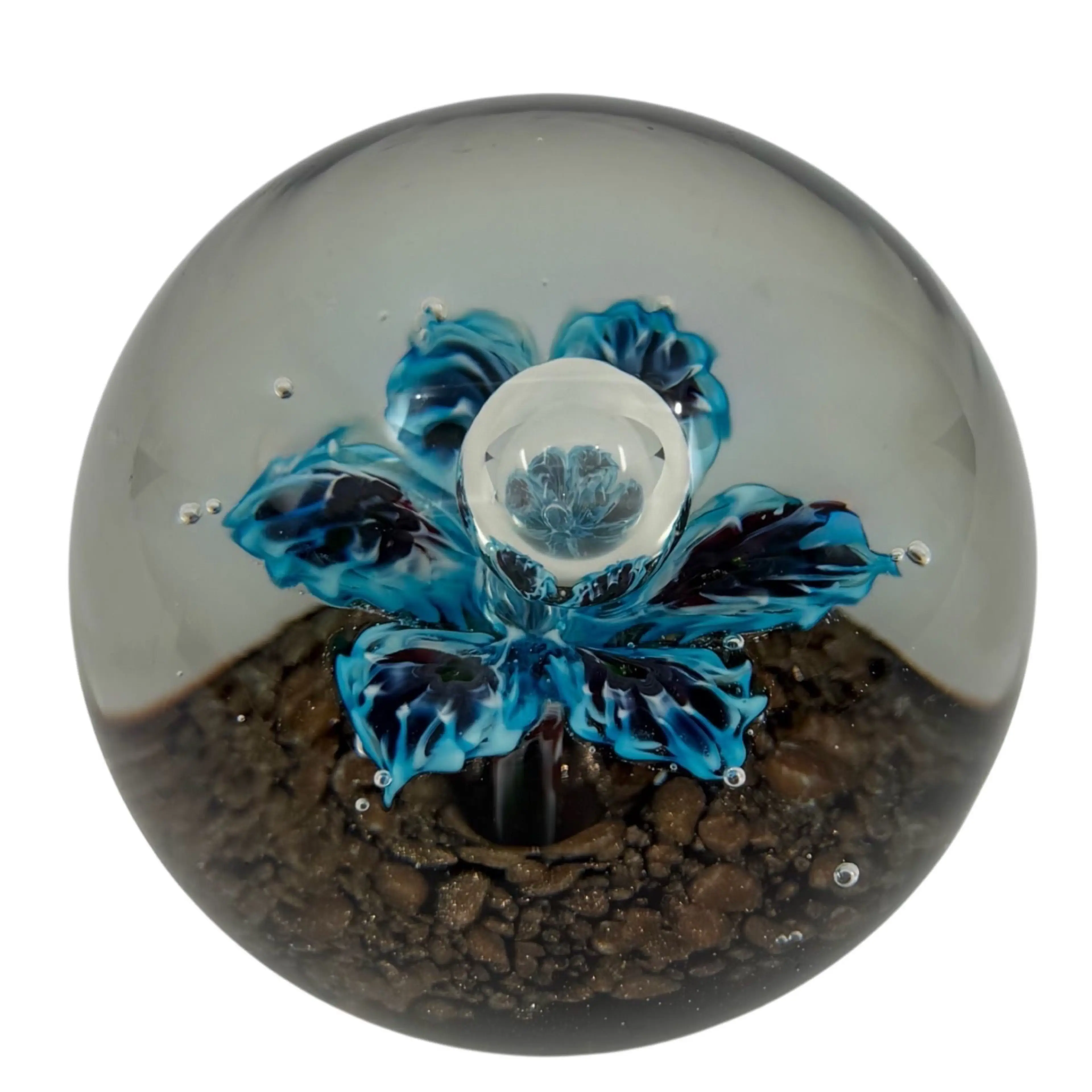 Image 5 of 19