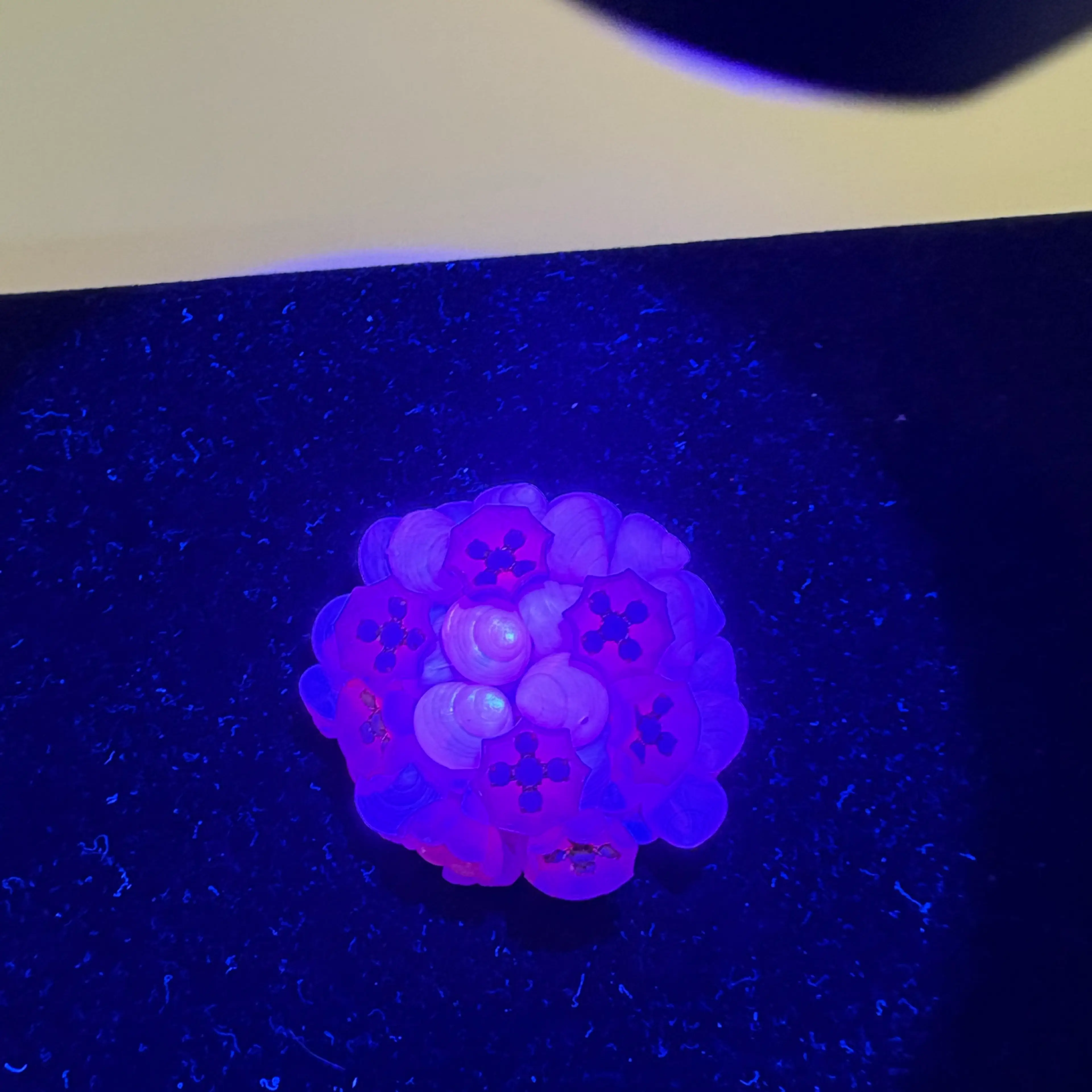 Image 2 of 3