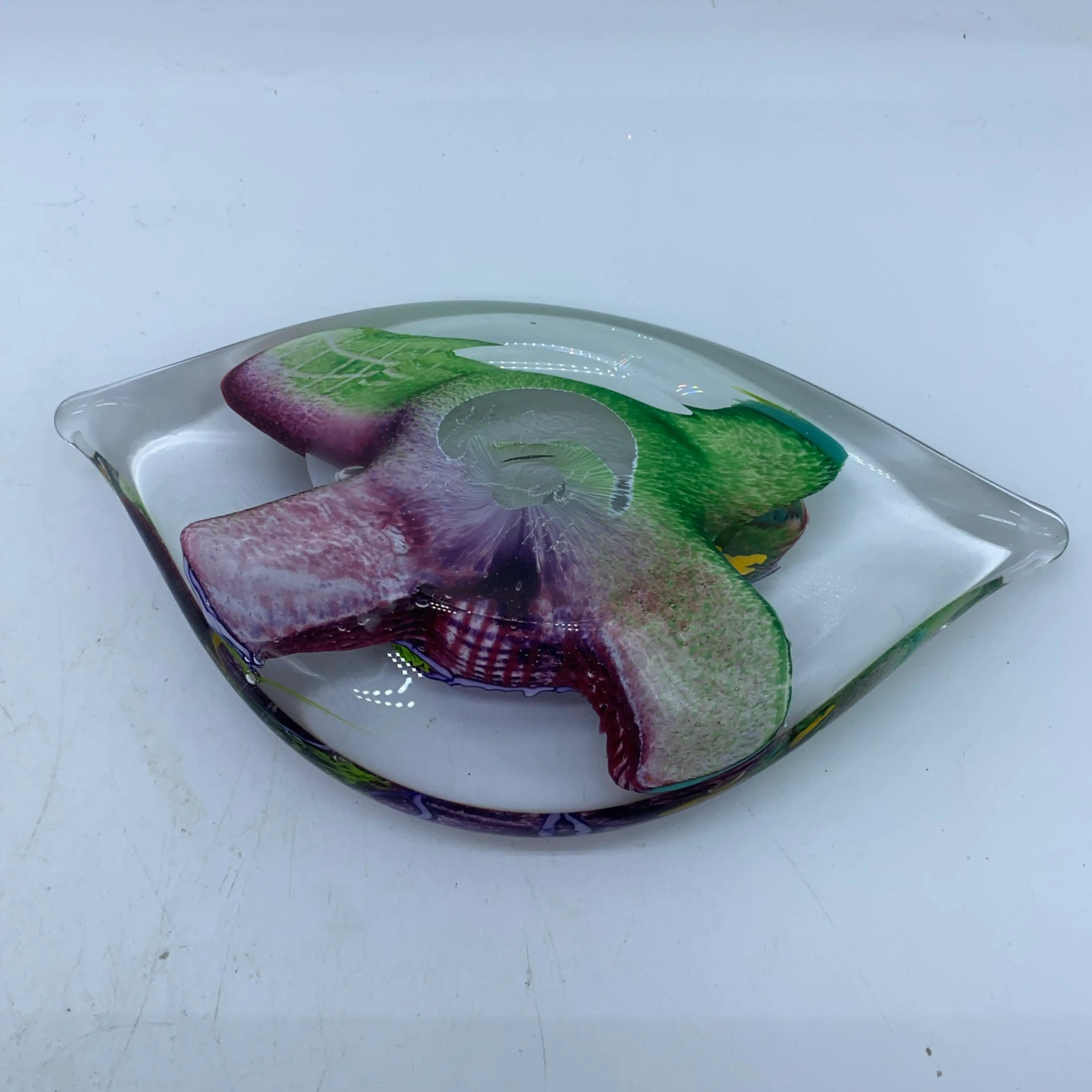 Image 4 of 5