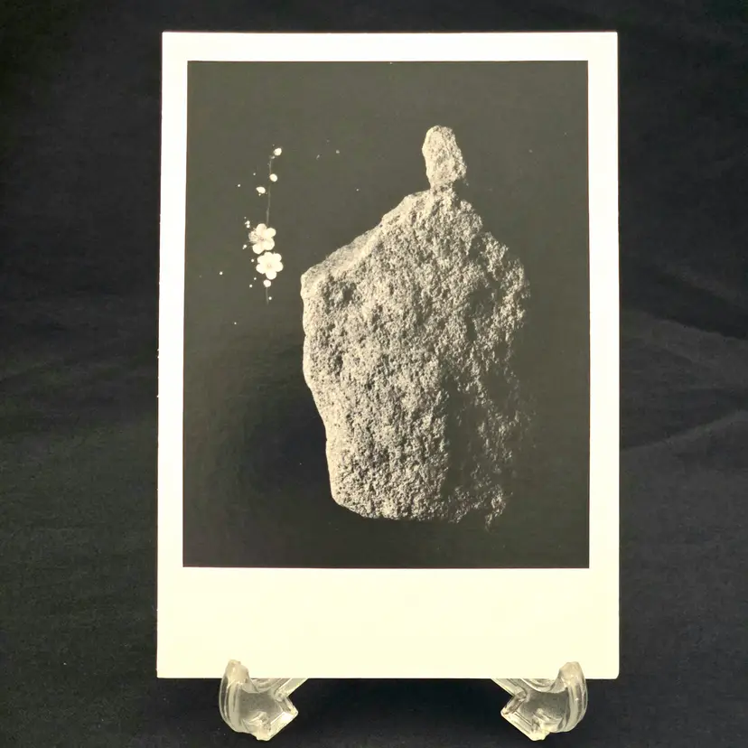 Gallery Announcement Masao Yamamoto Photographer Ephemera Signed in Japanese