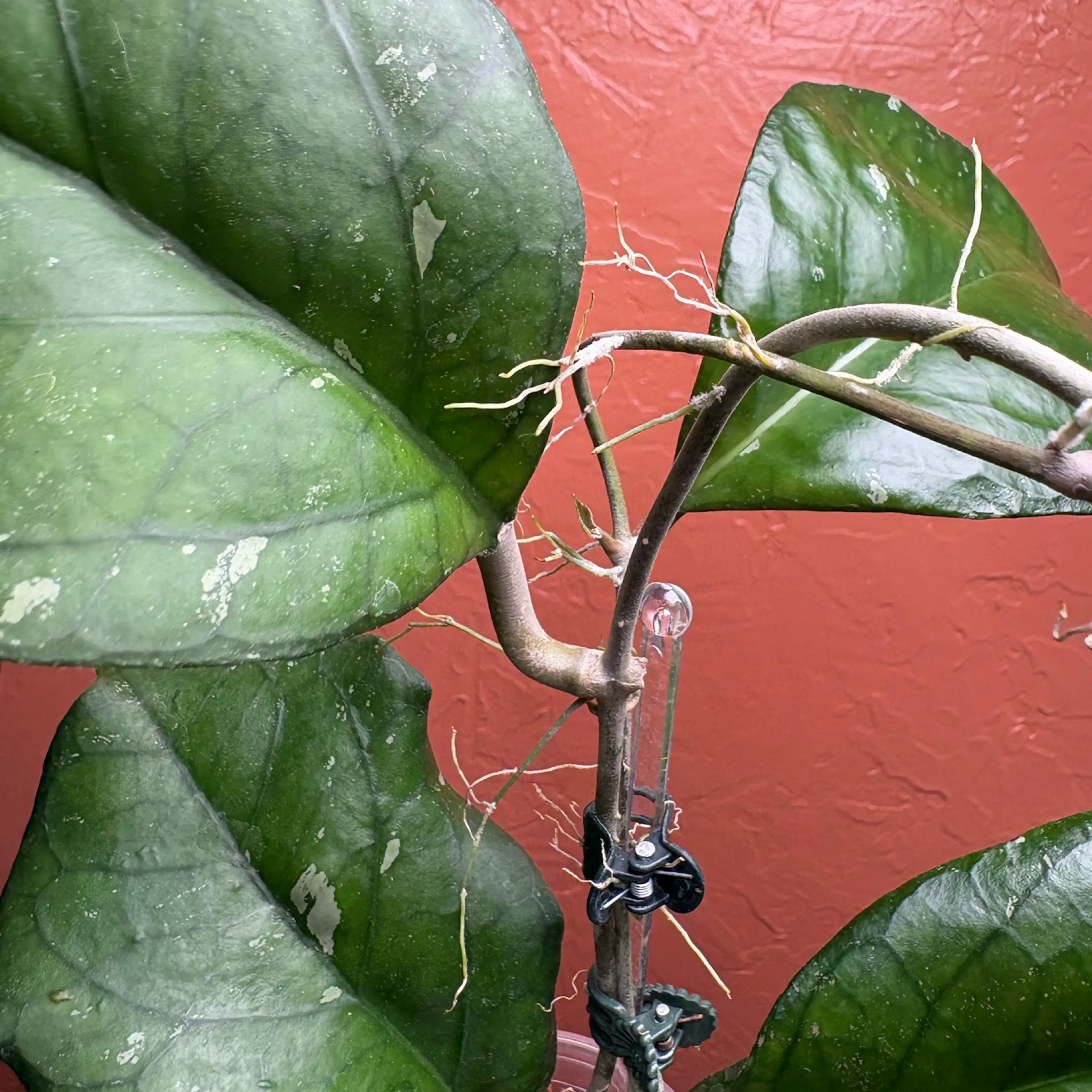 Image 4 of 4