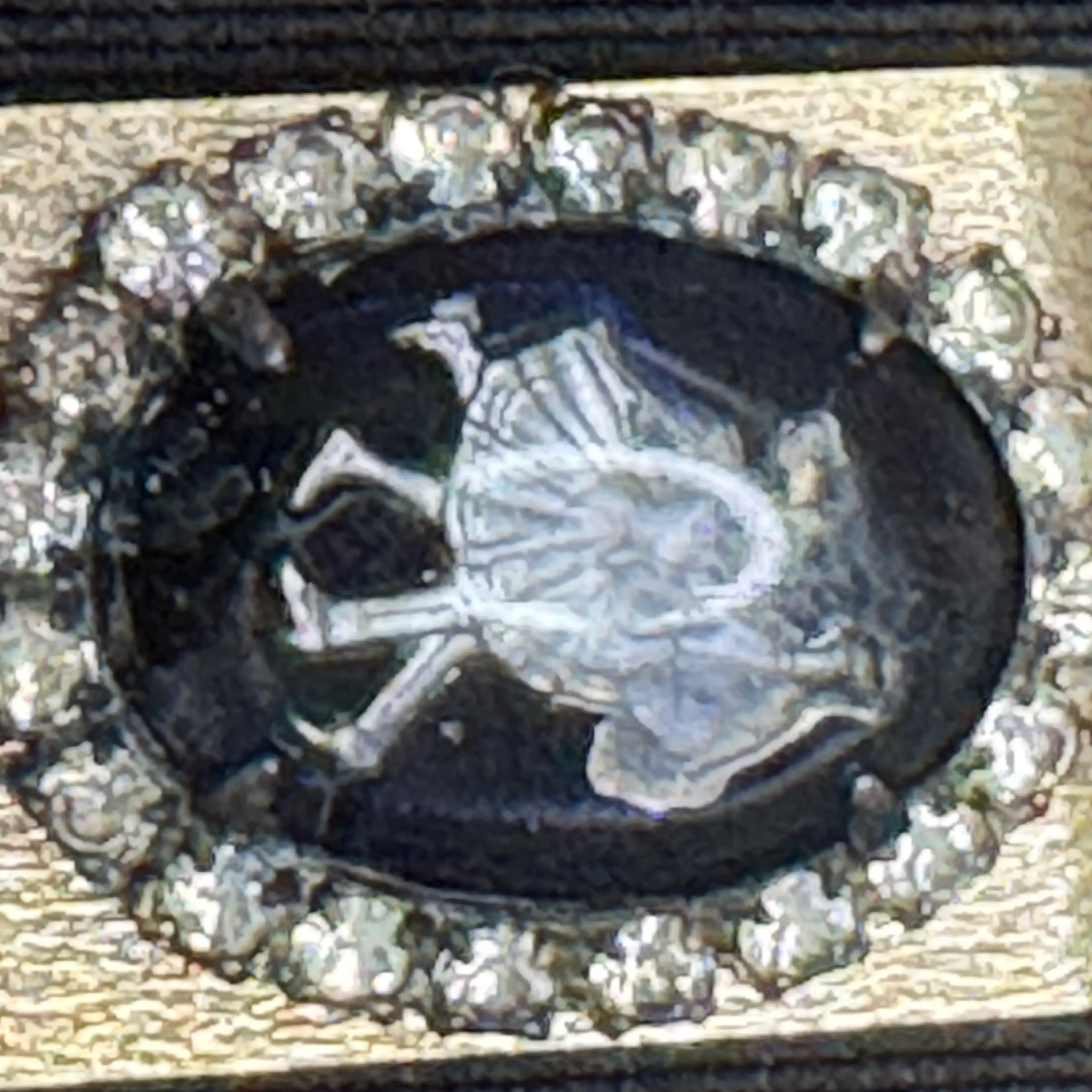 Image 4 of 7