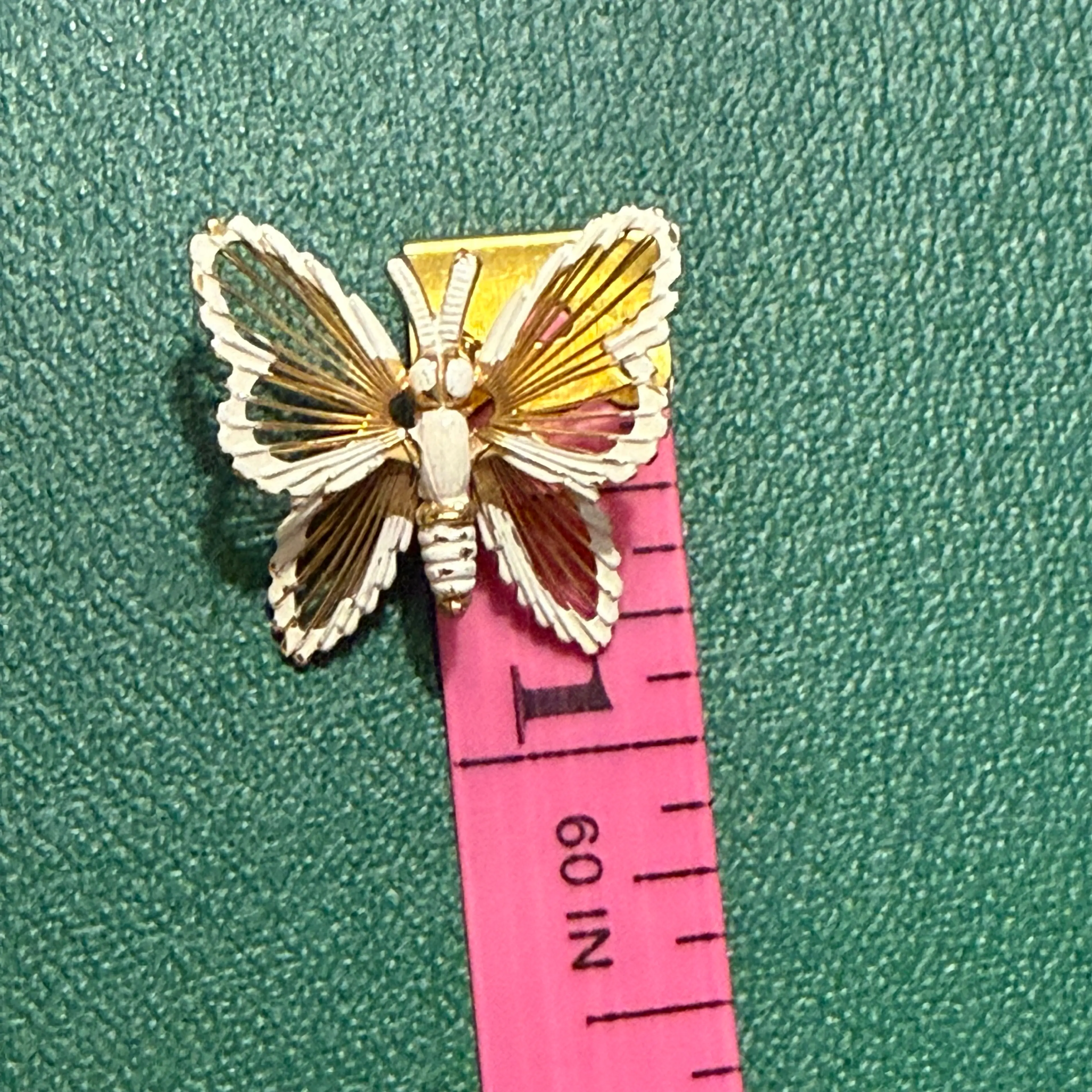 Image 4 of 4
