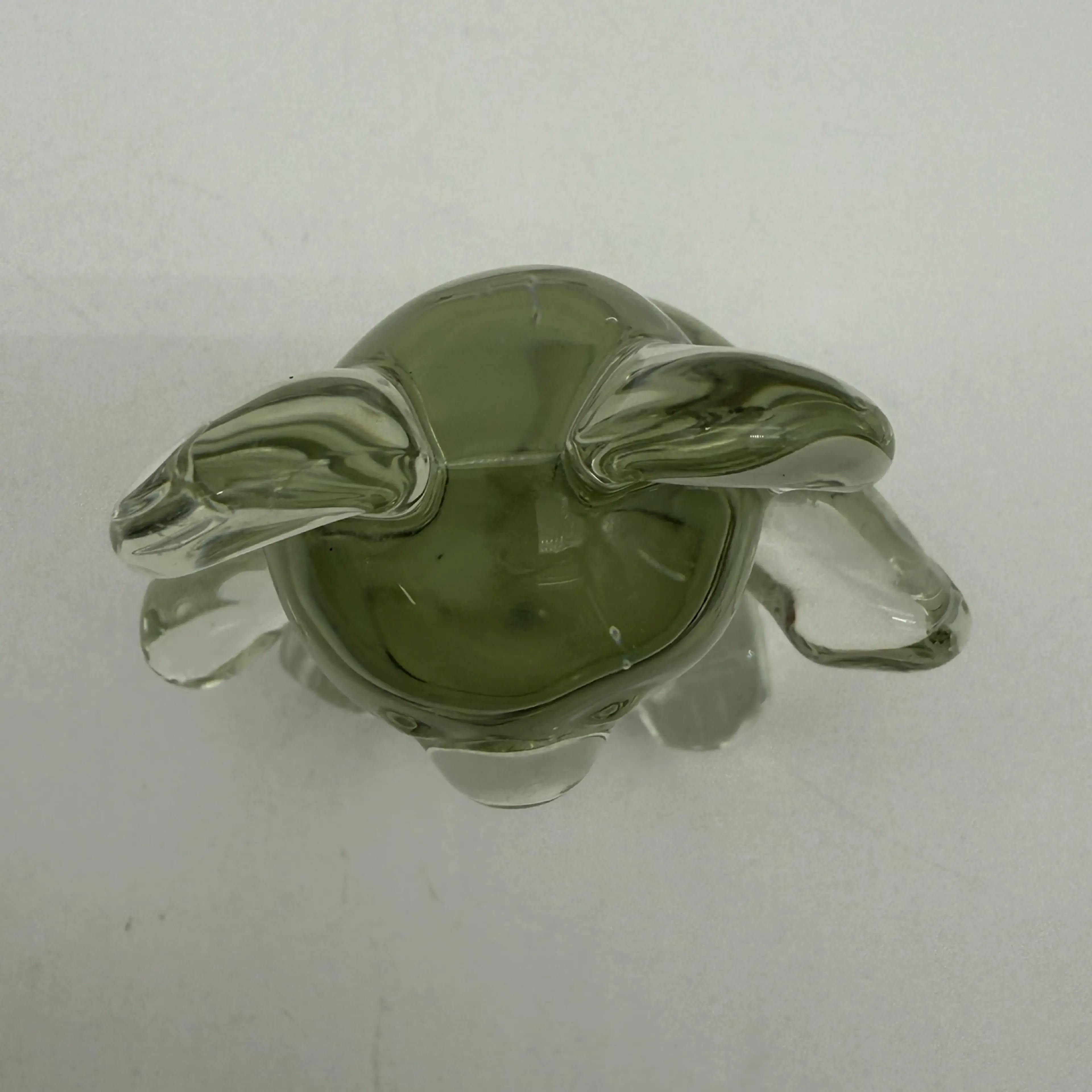 Image 5 of 6