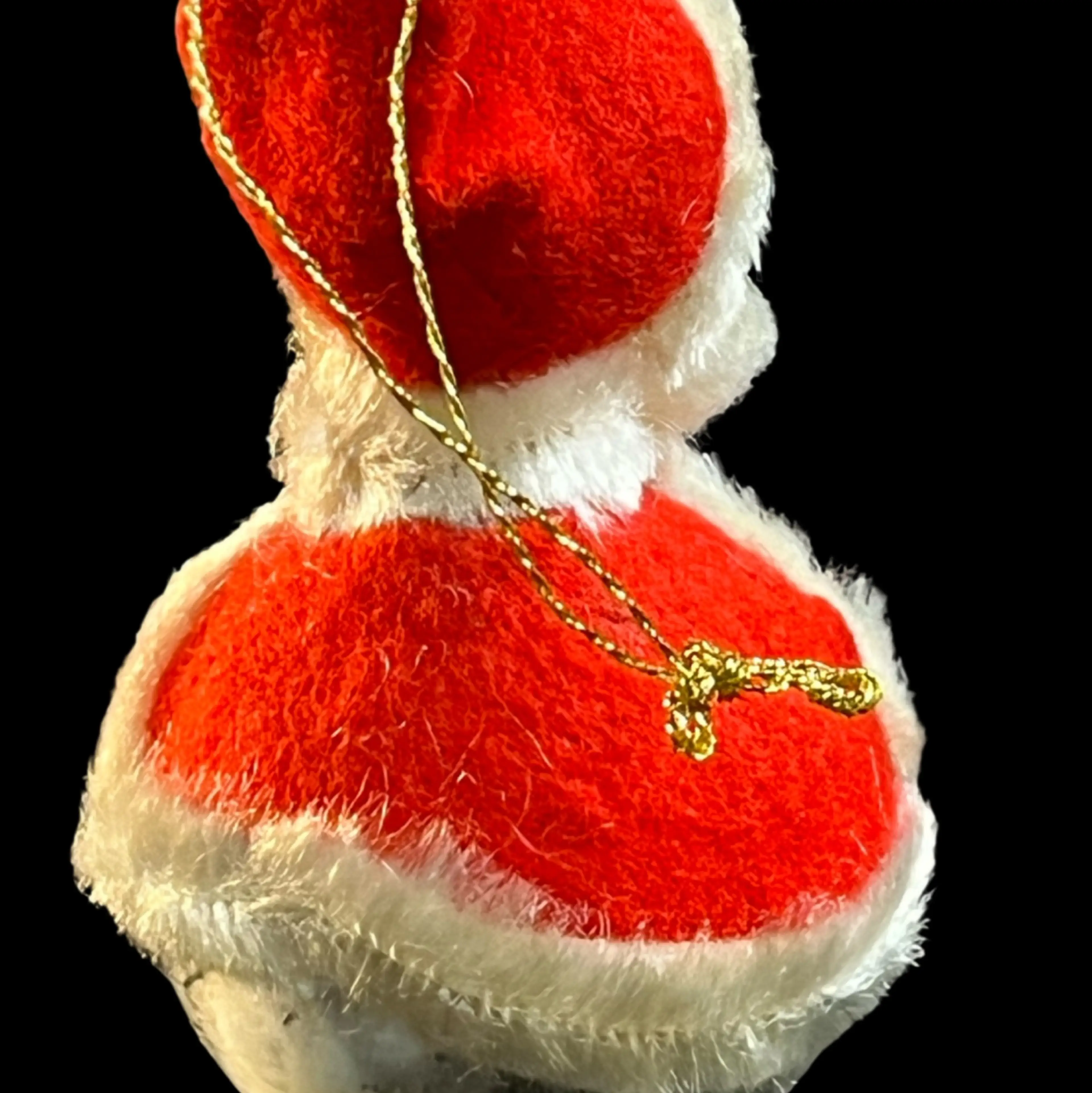 Image 2 of 5