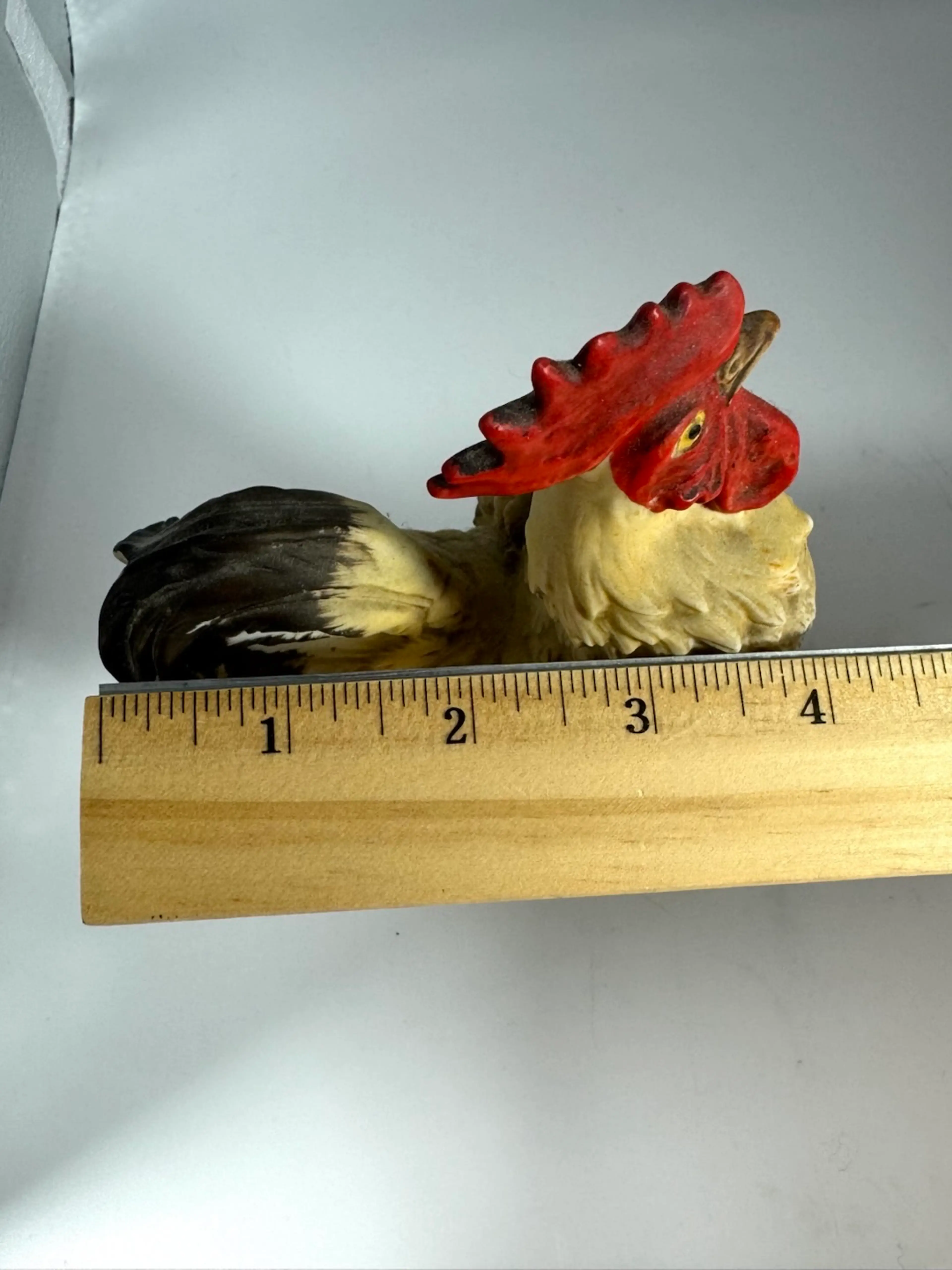 Image 5 of 6