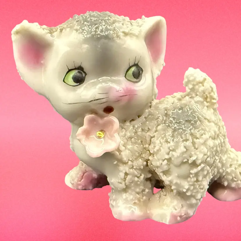 Sugared Kitten Japan