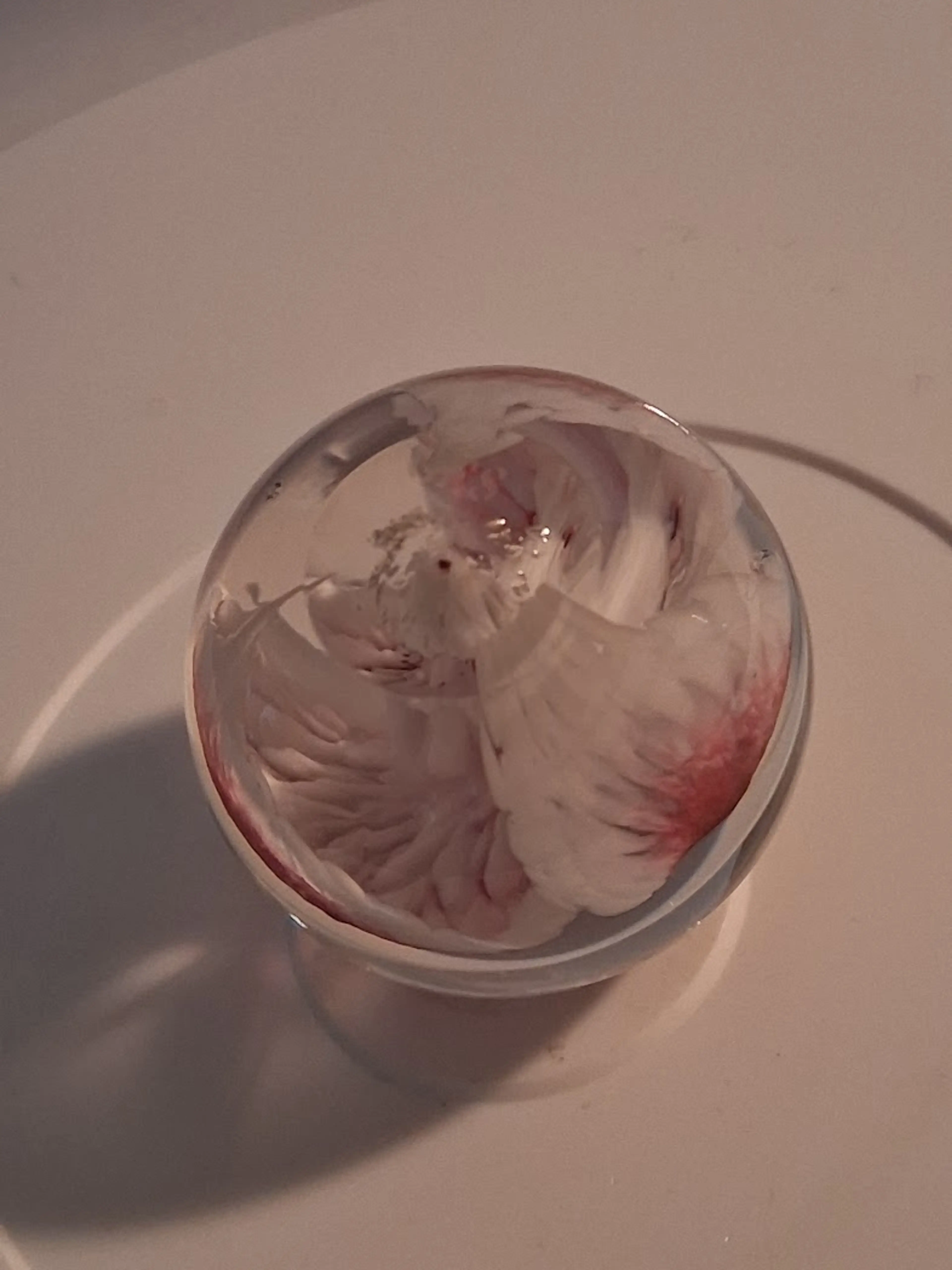 Image 5 of 6